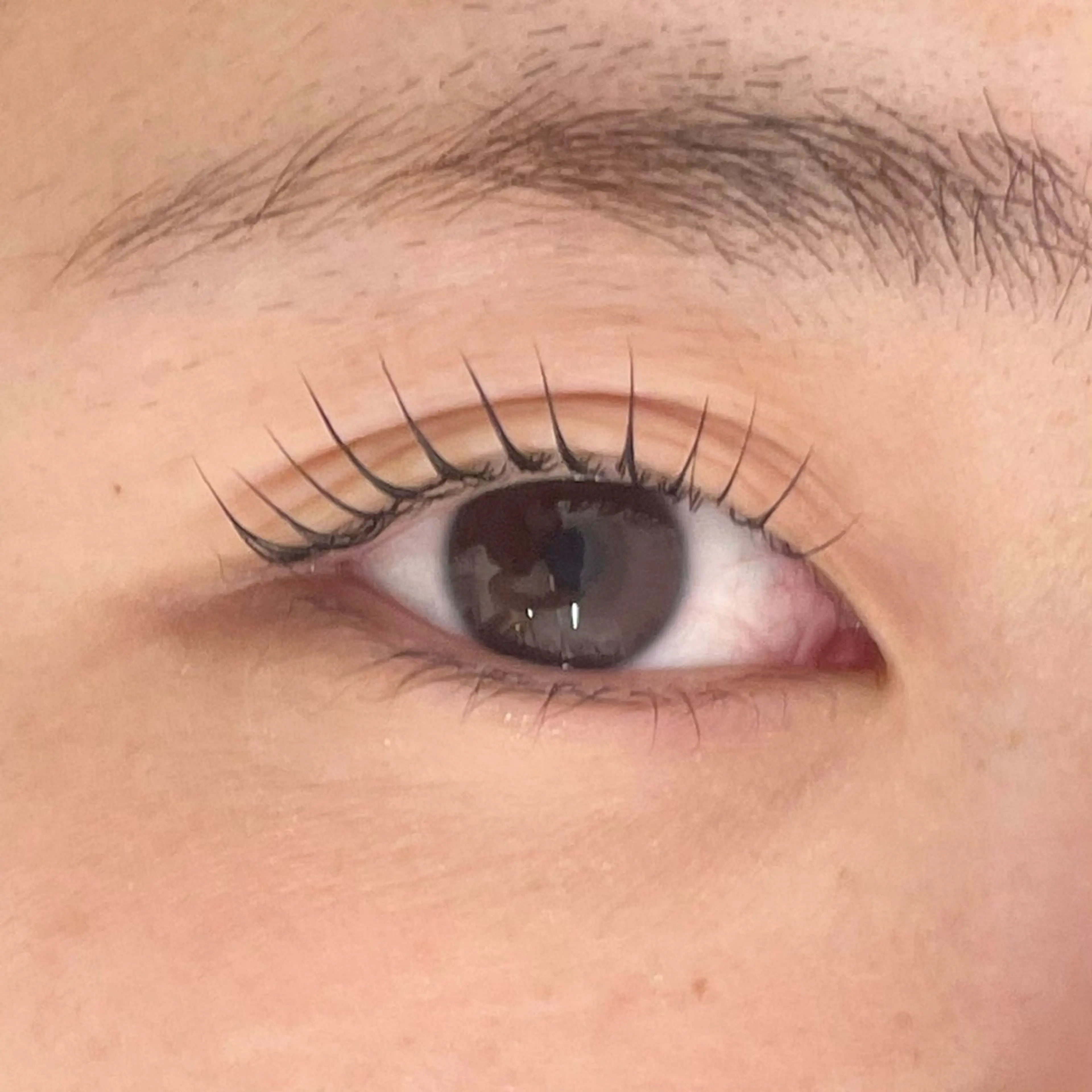 マツエク・マツパ マツパ uland Reaのマツエク・マツパデザイン