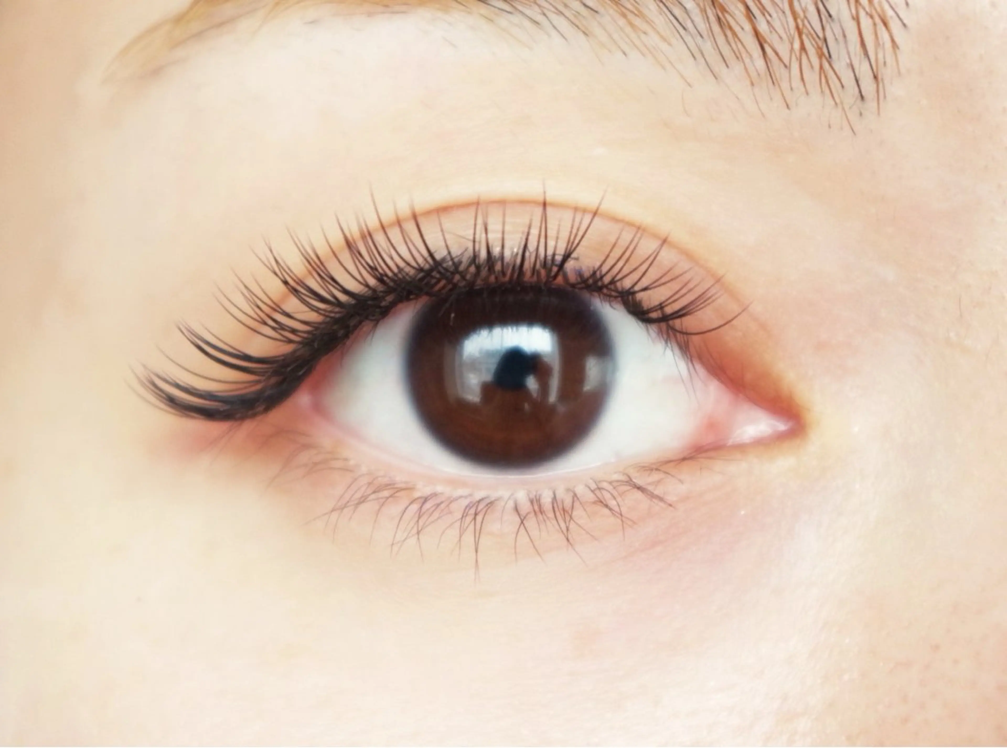 マツエク・マツパ ラシエル 天神の眉毛・アイブロウイメージ