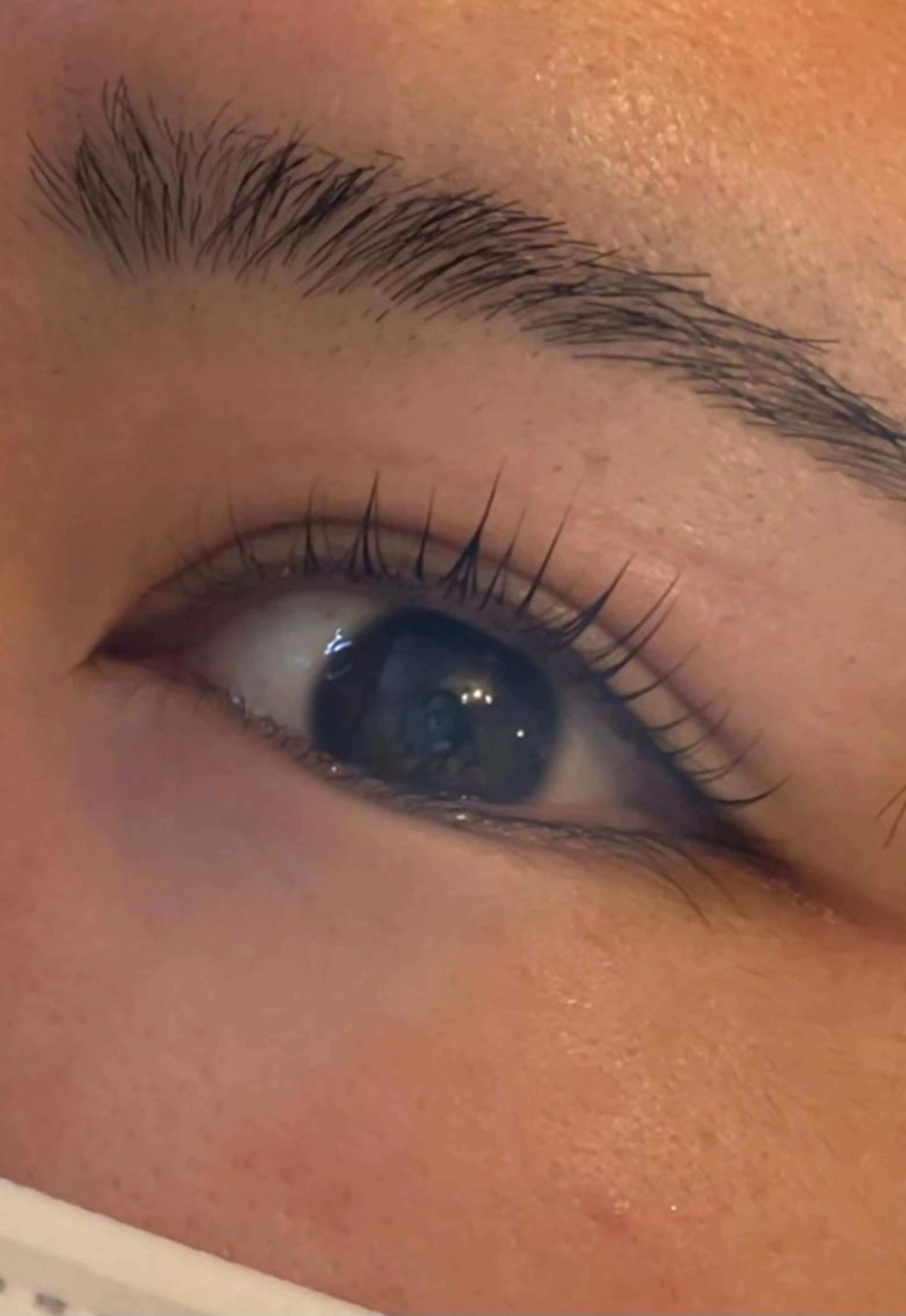 ラッシュリフト上のみ(アイシャンプー・コーティング込み)の写真