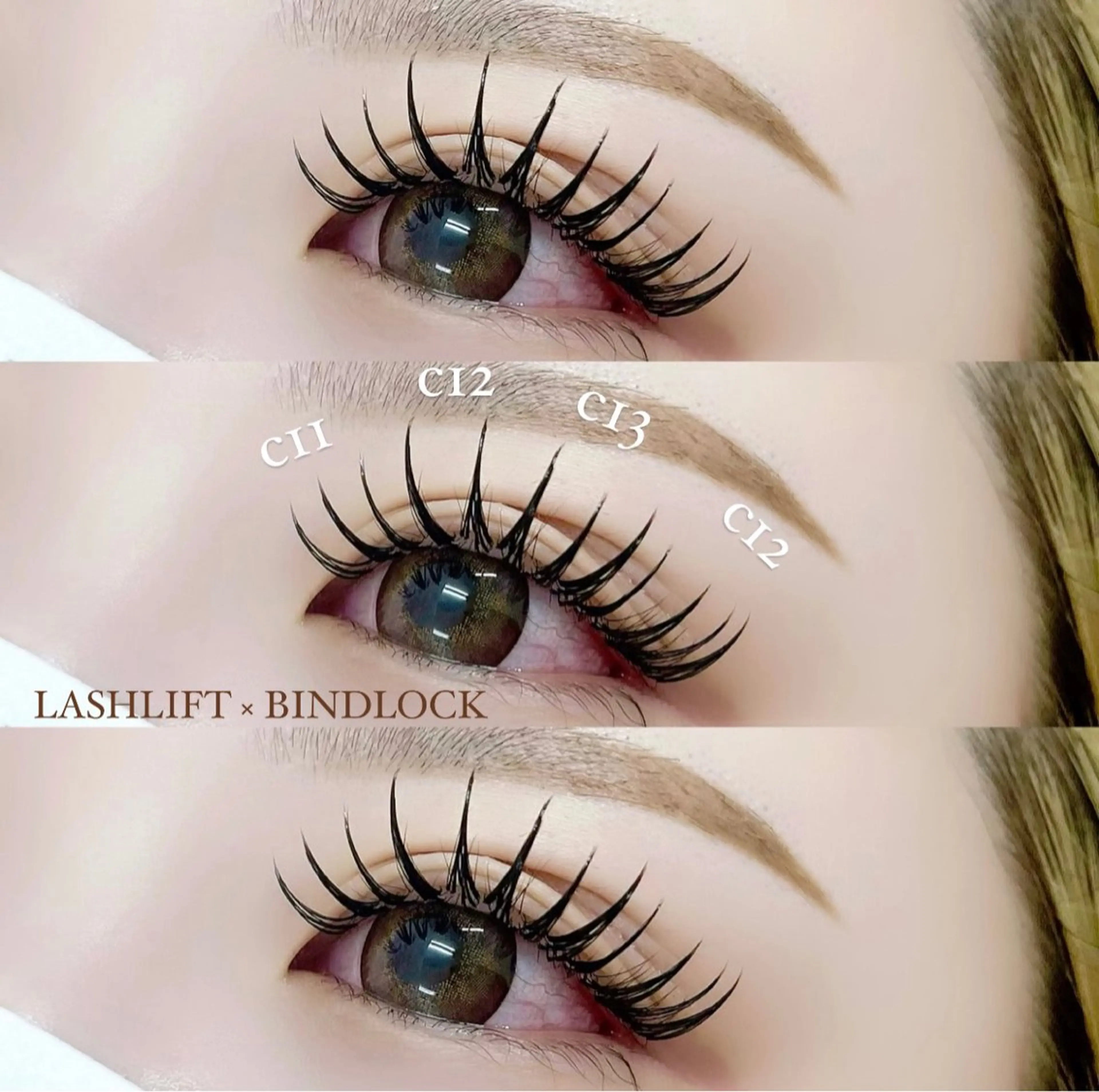 〔〔濃さMAX〕〕バインドロック100束⛓の写真