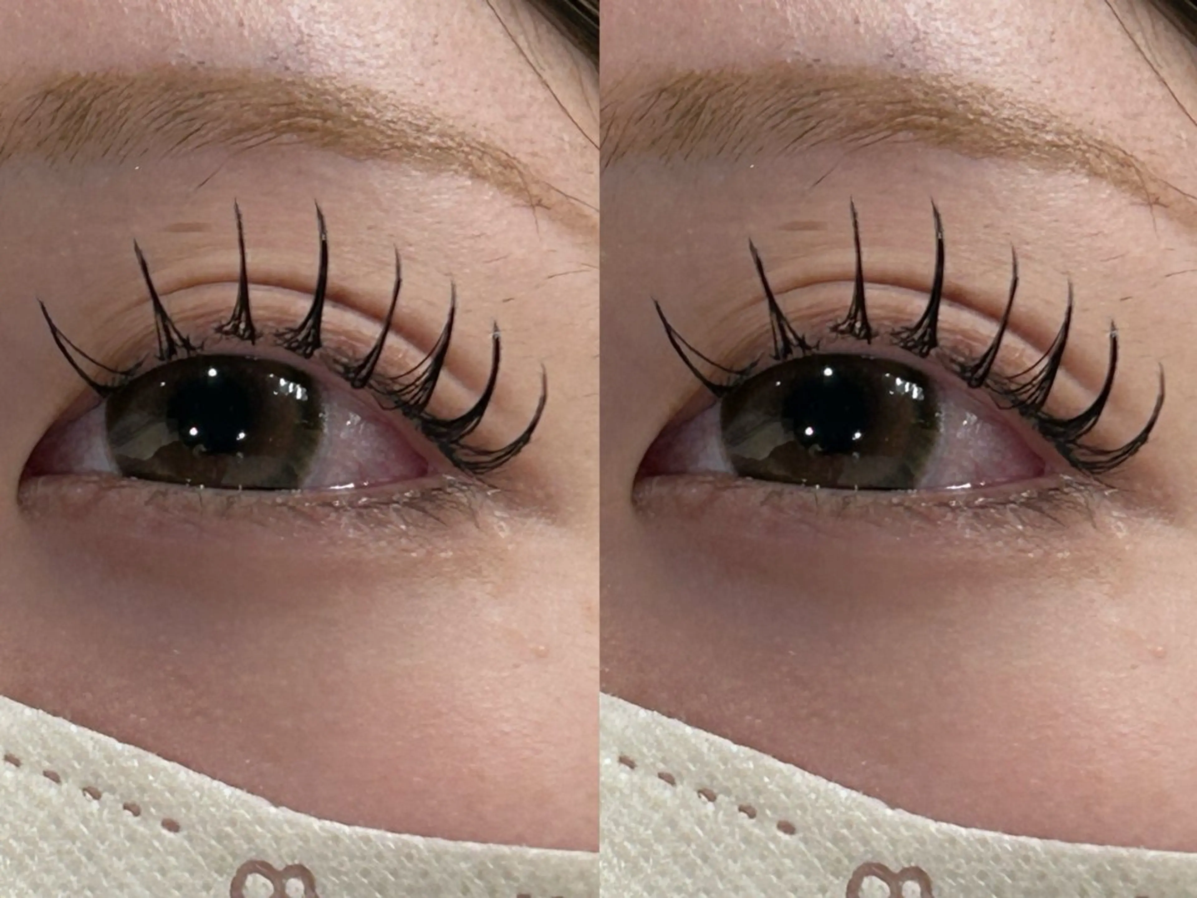 マツエク・マツパ マツパ 冬っぽカラー/ マツエク/ゆきなのマツエク・マツパデザイン