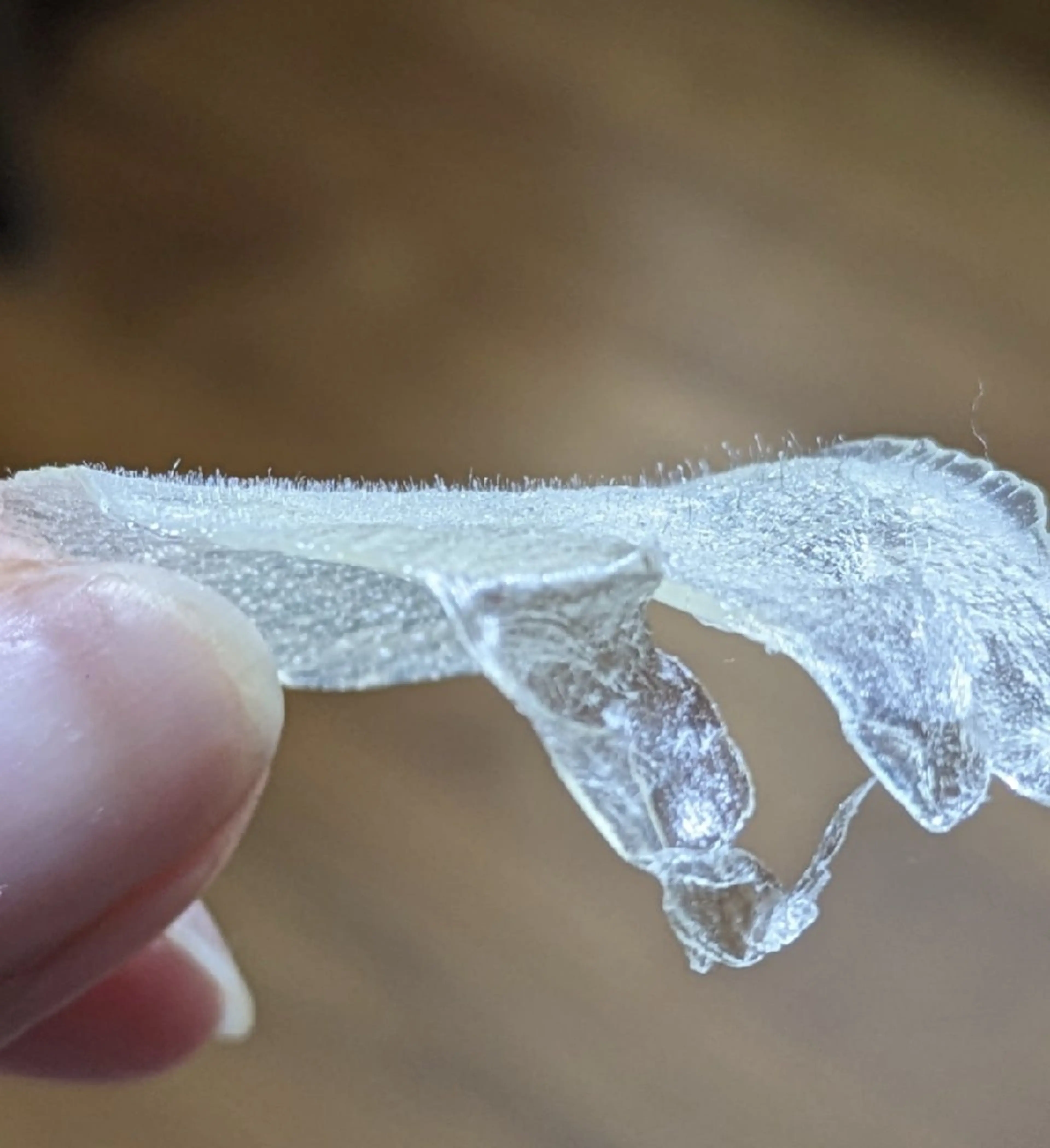 ワックス脱毛  SOLEIL 小玉の眉毛・アイブロウイメージ