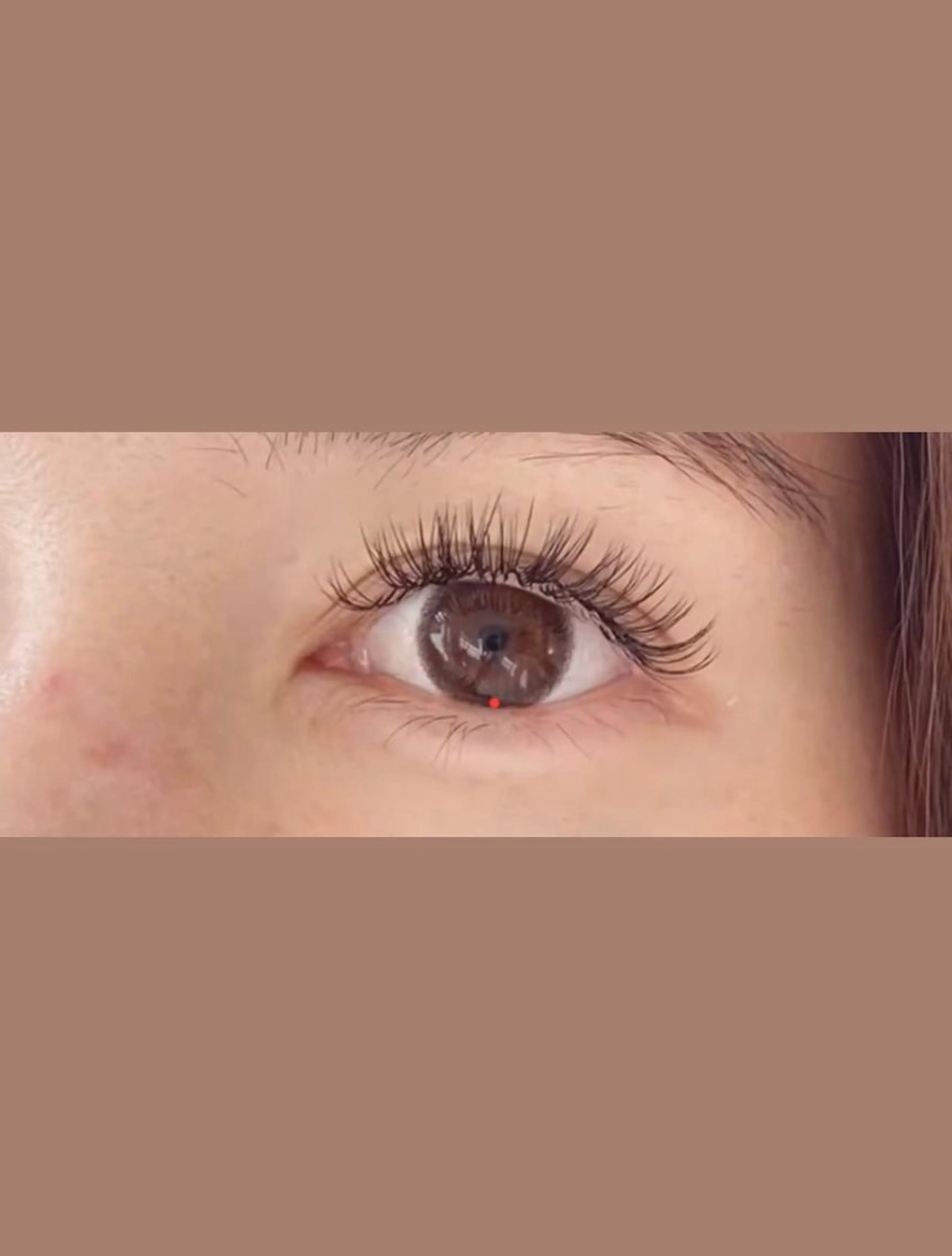 バインドロック80束の写真