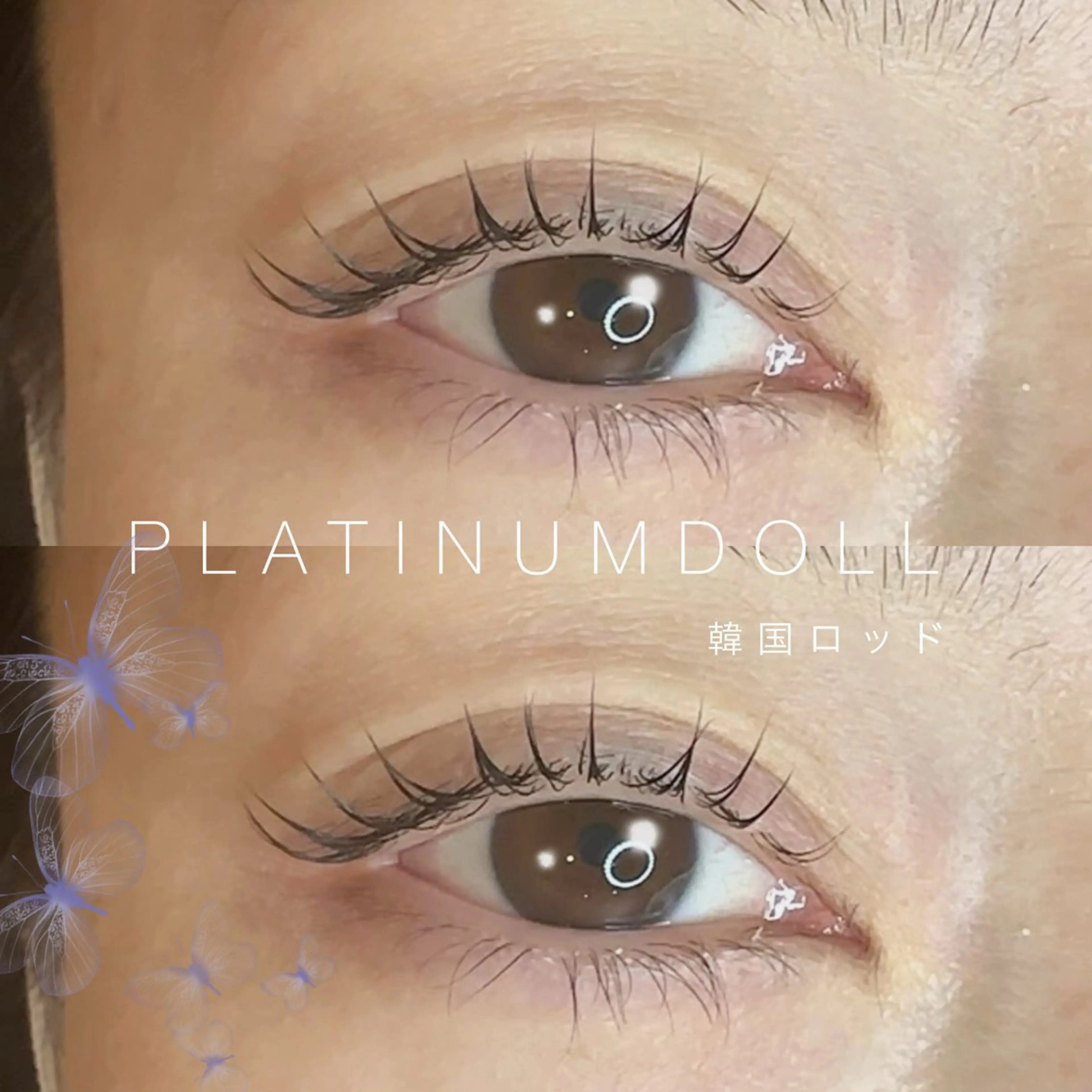 マツエク・マツパ 韓国風マツエク 💫束感まつげパーマ YUKA💫のマツエク・マツパデザイン