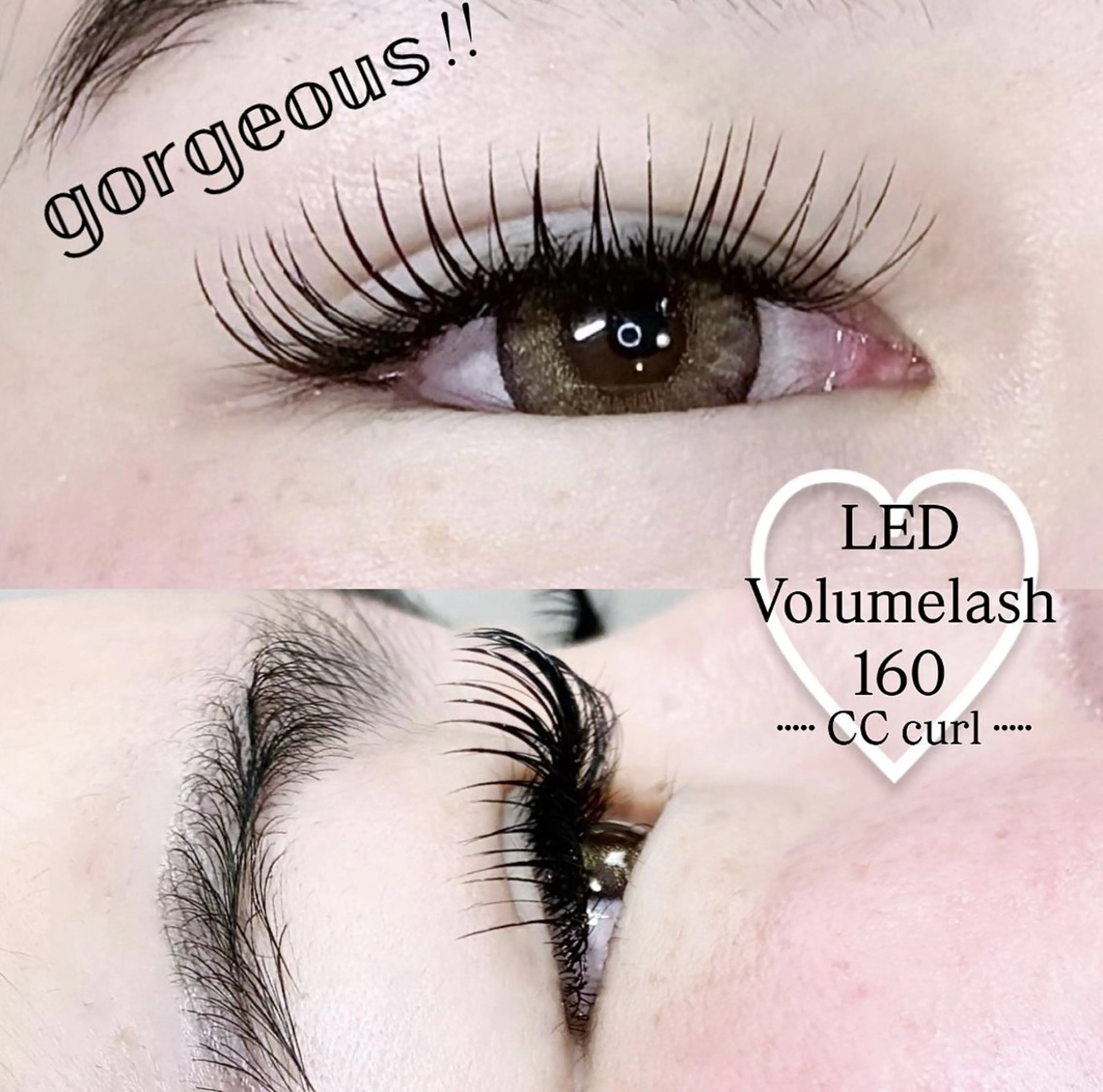 マツエク・マツパ CCカール Cカール ゴージャス LEDエクステ専門店 Fedis 京橋のマツエク・マツパデザイン