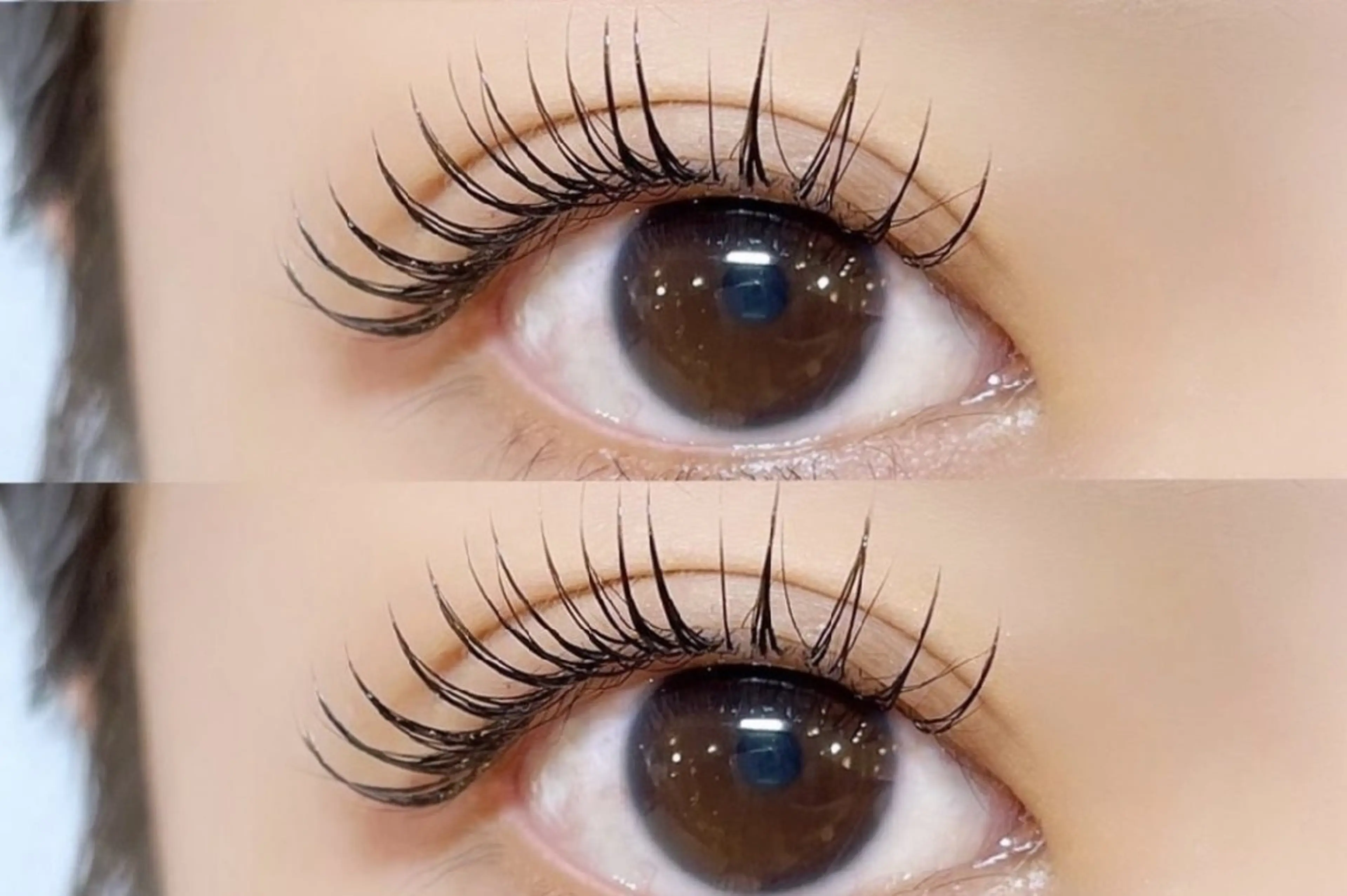 🌈フラットラッシュ160本🌈の写真