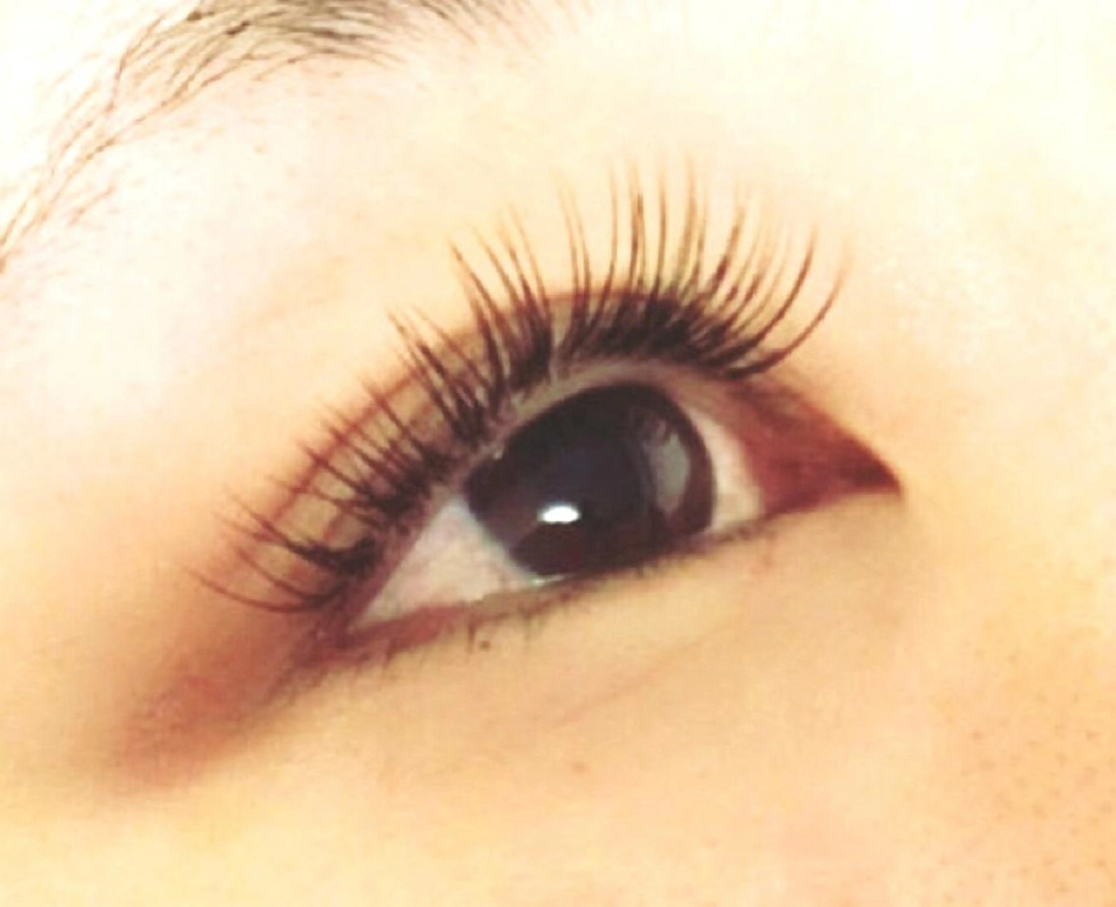 当日に予約した方　限定フラット１２０本3500円の写真