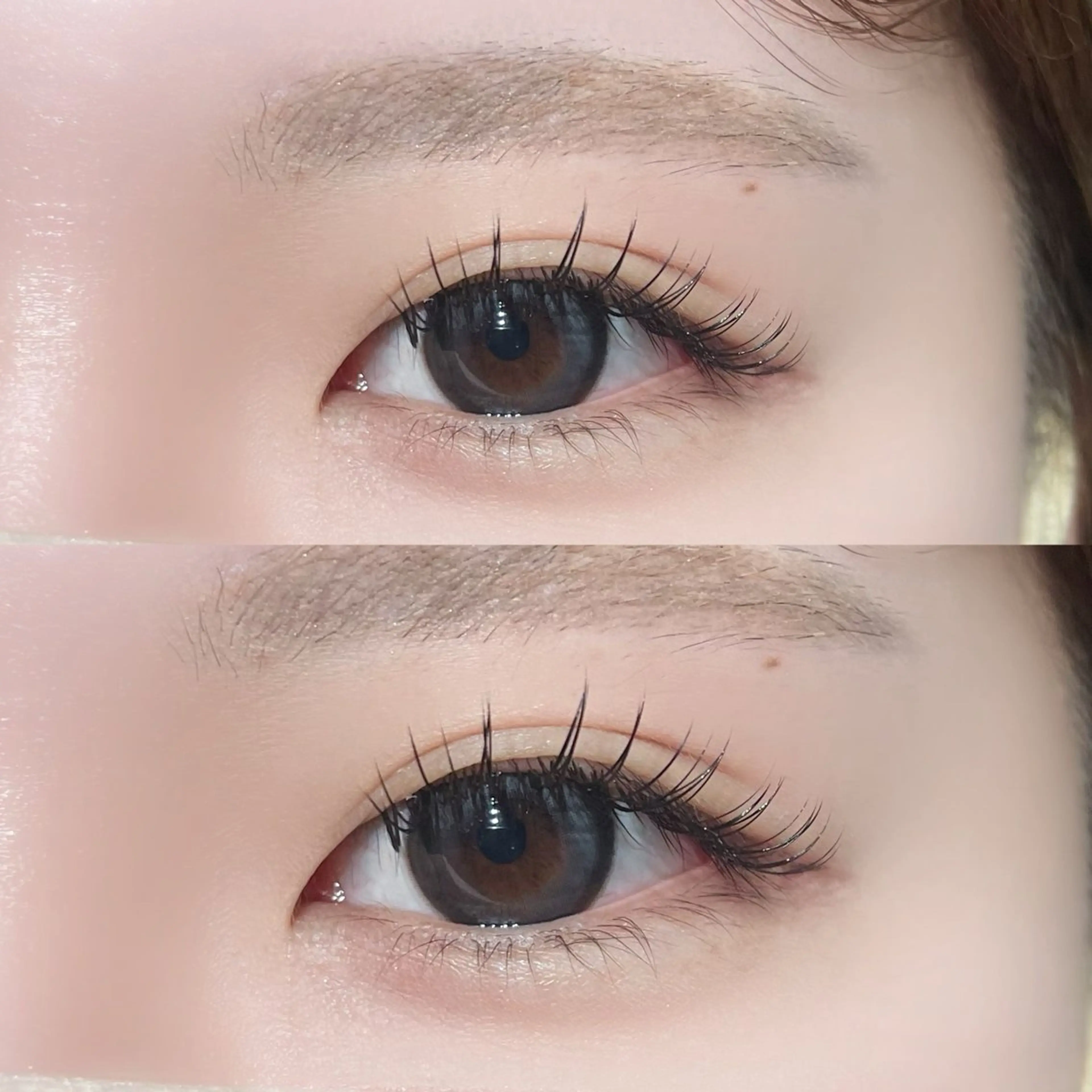 マツエク・マツパ Dカール ナチュラル Lilystore ishidaのマツエク・マツパデザイン