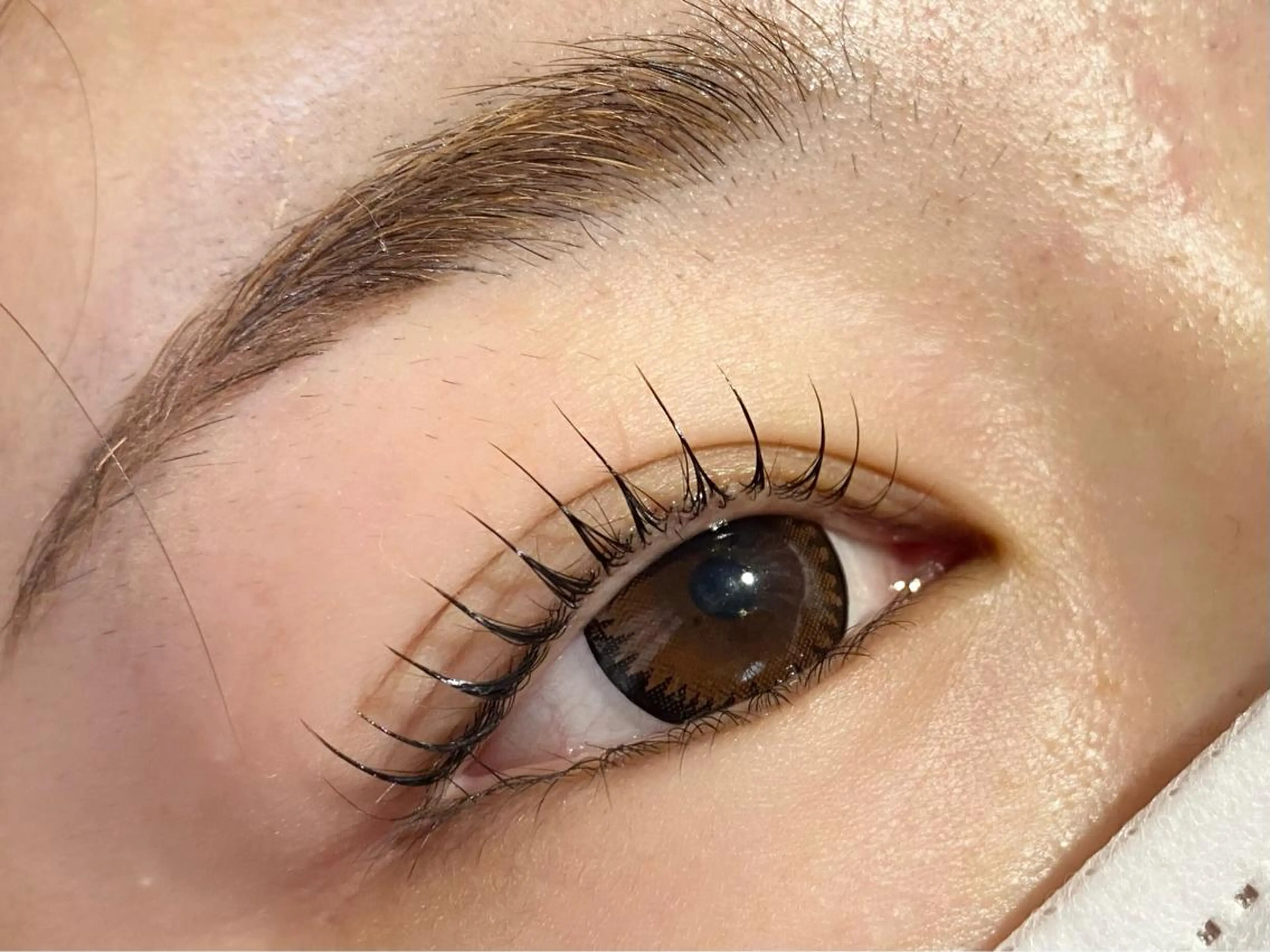 🦋ラッシュリフト￥4,800🦋束感仕上げ/保湿コーティング付き◎の写真