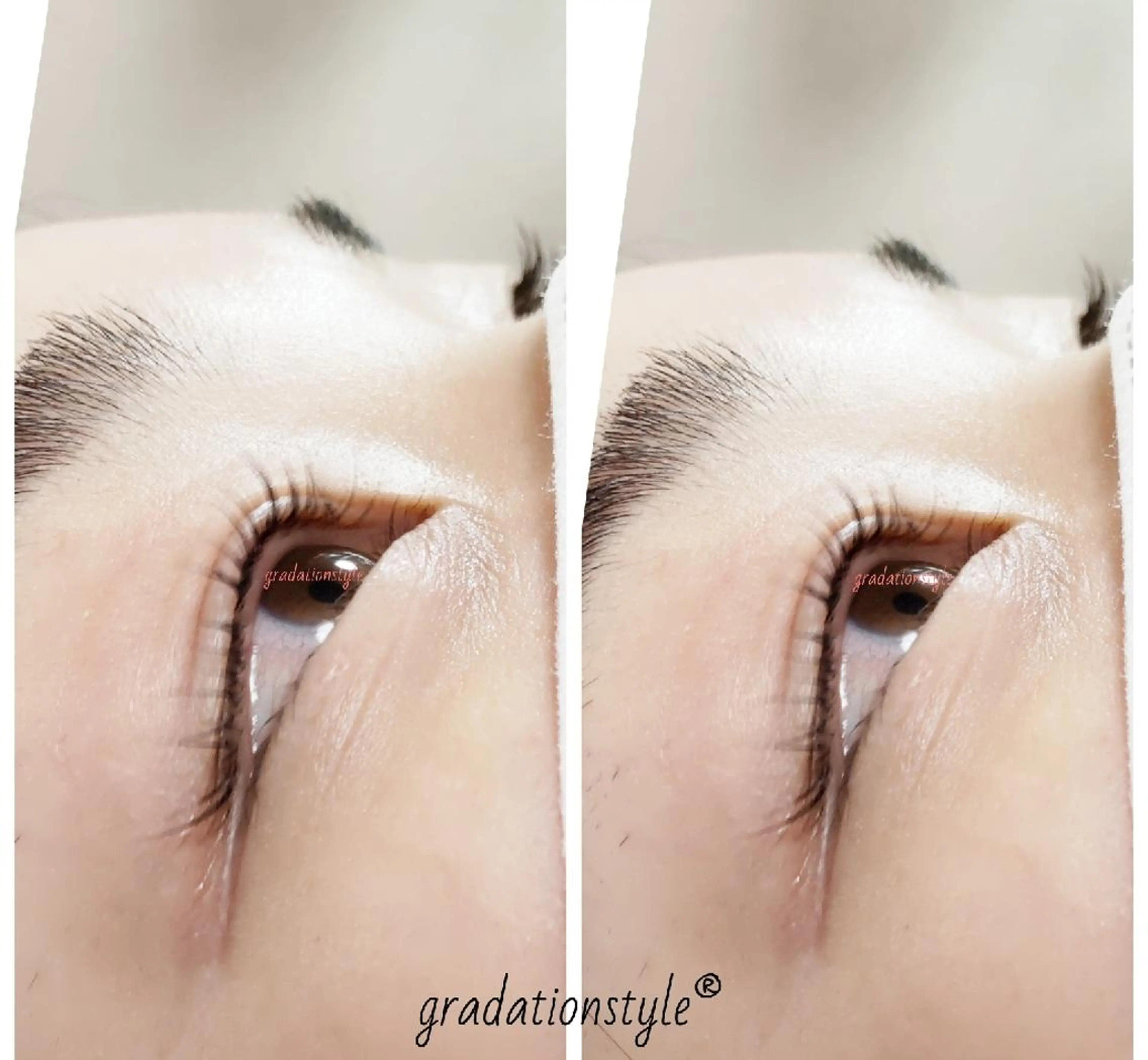 マツエク・マツパ まつげパーマ 🎼グラデーション スタイル札幌♫*⁠✧のマツエク・マツパデザイン