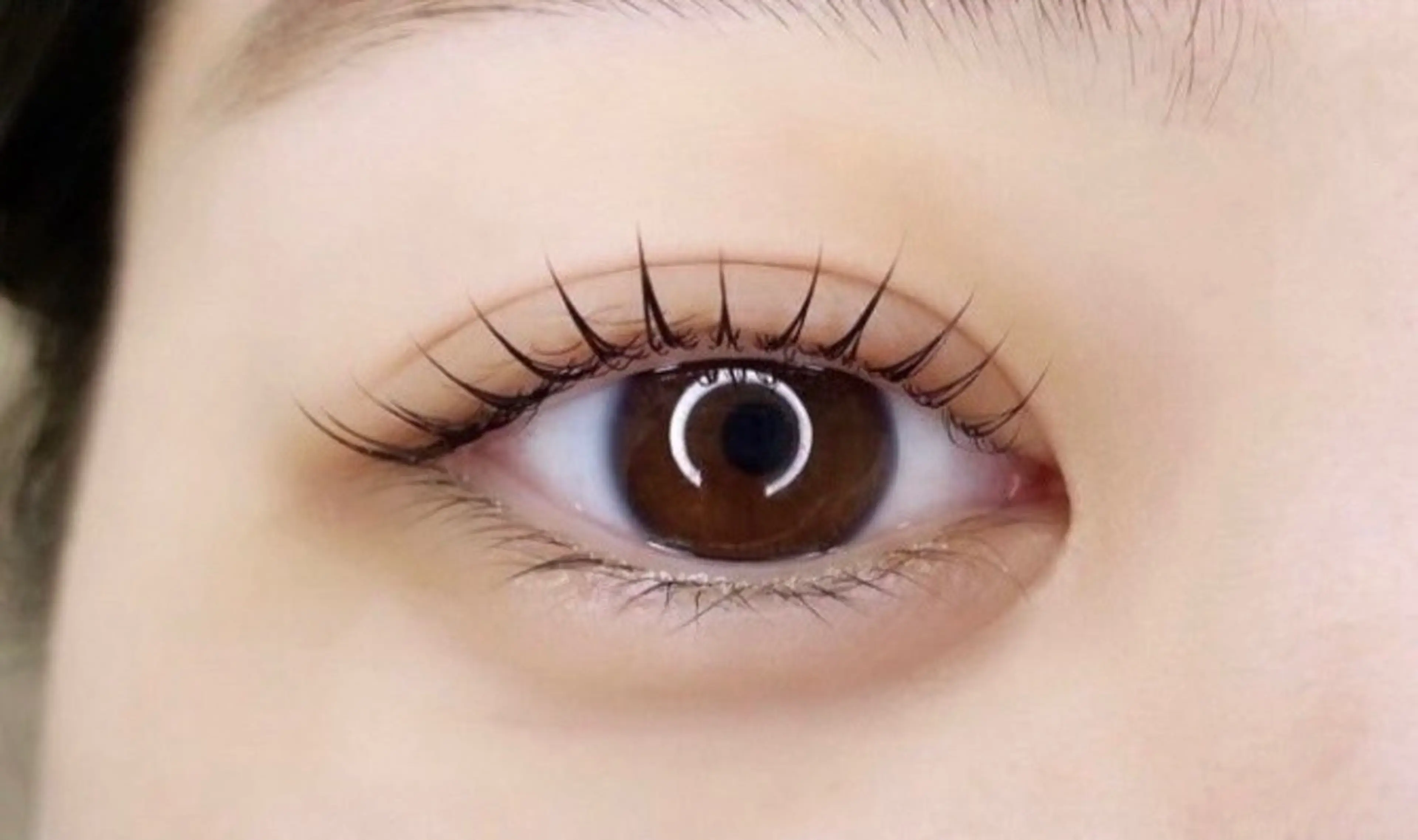 マツエク・マツパ le'a   first所属・堀江  Le'a First.𓂃🫧の眉毛・アイブロウイメージ