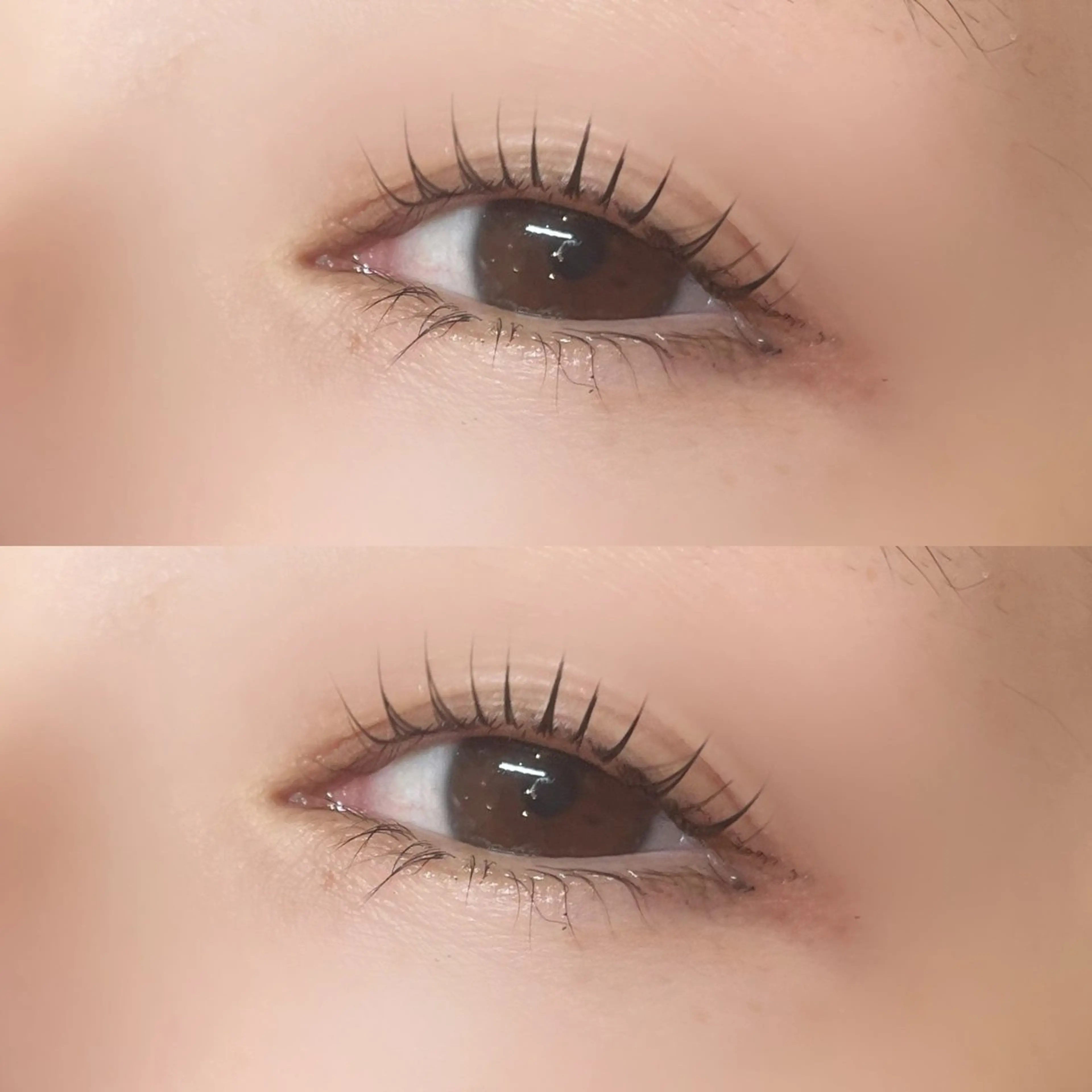 【再来】まつ毛パーマ　束感コーティングの写真