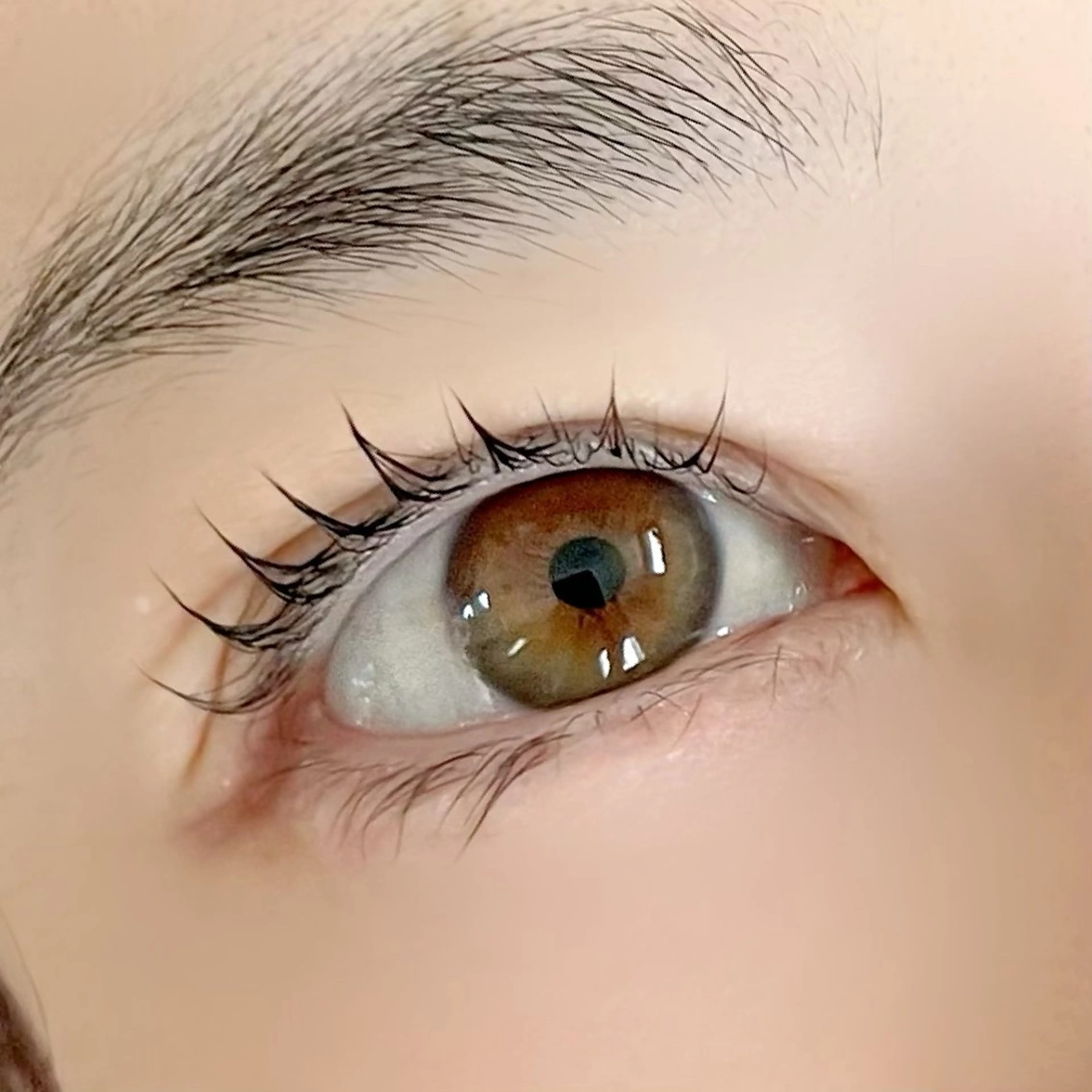 マツエク・マツパ Seary eyelashsalon所属・セアリー アイラッシュサロンの眉毛・アイブロウイメージ