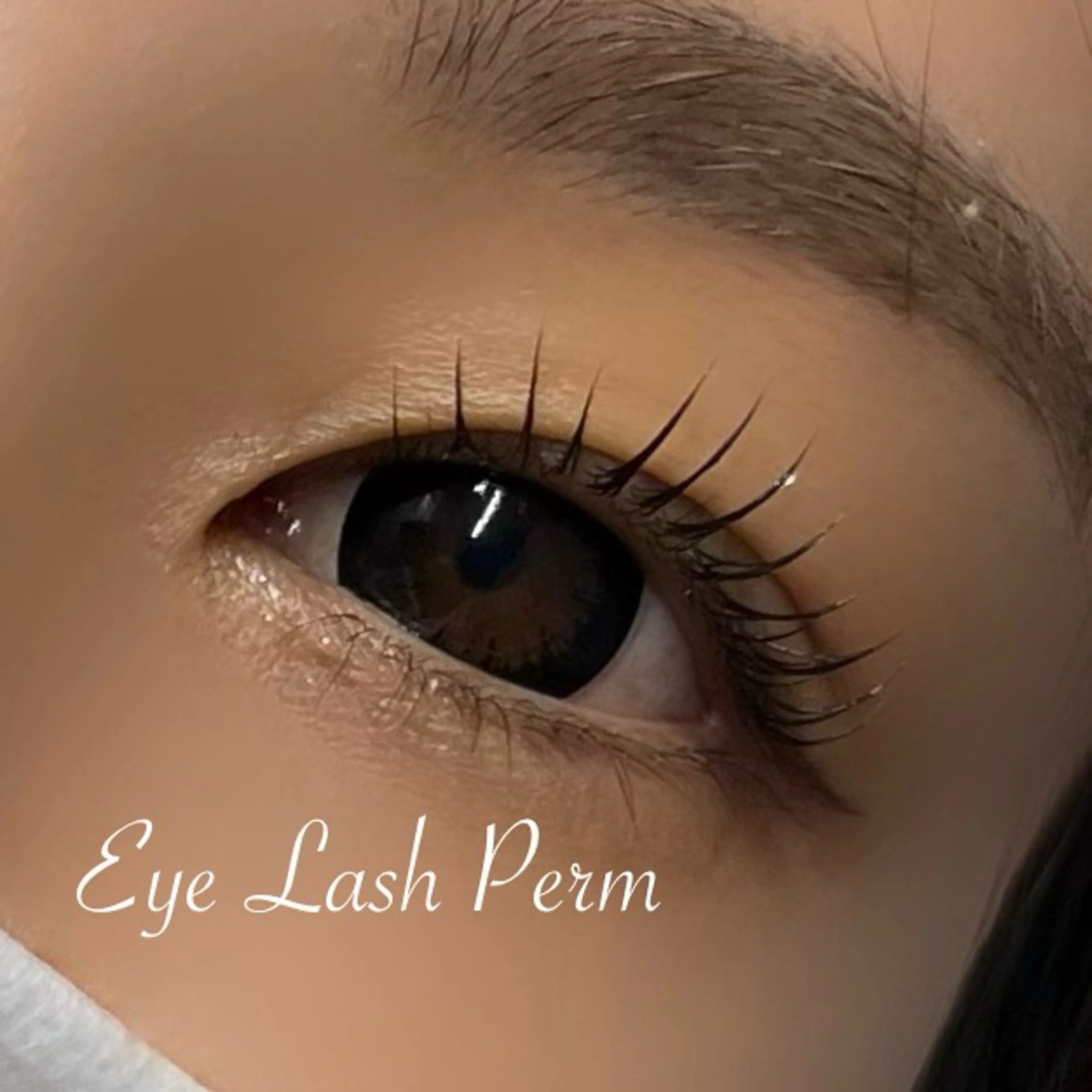 マツエク・マツパ huluhulu Yabumotoのマツエク・マツパデザイン