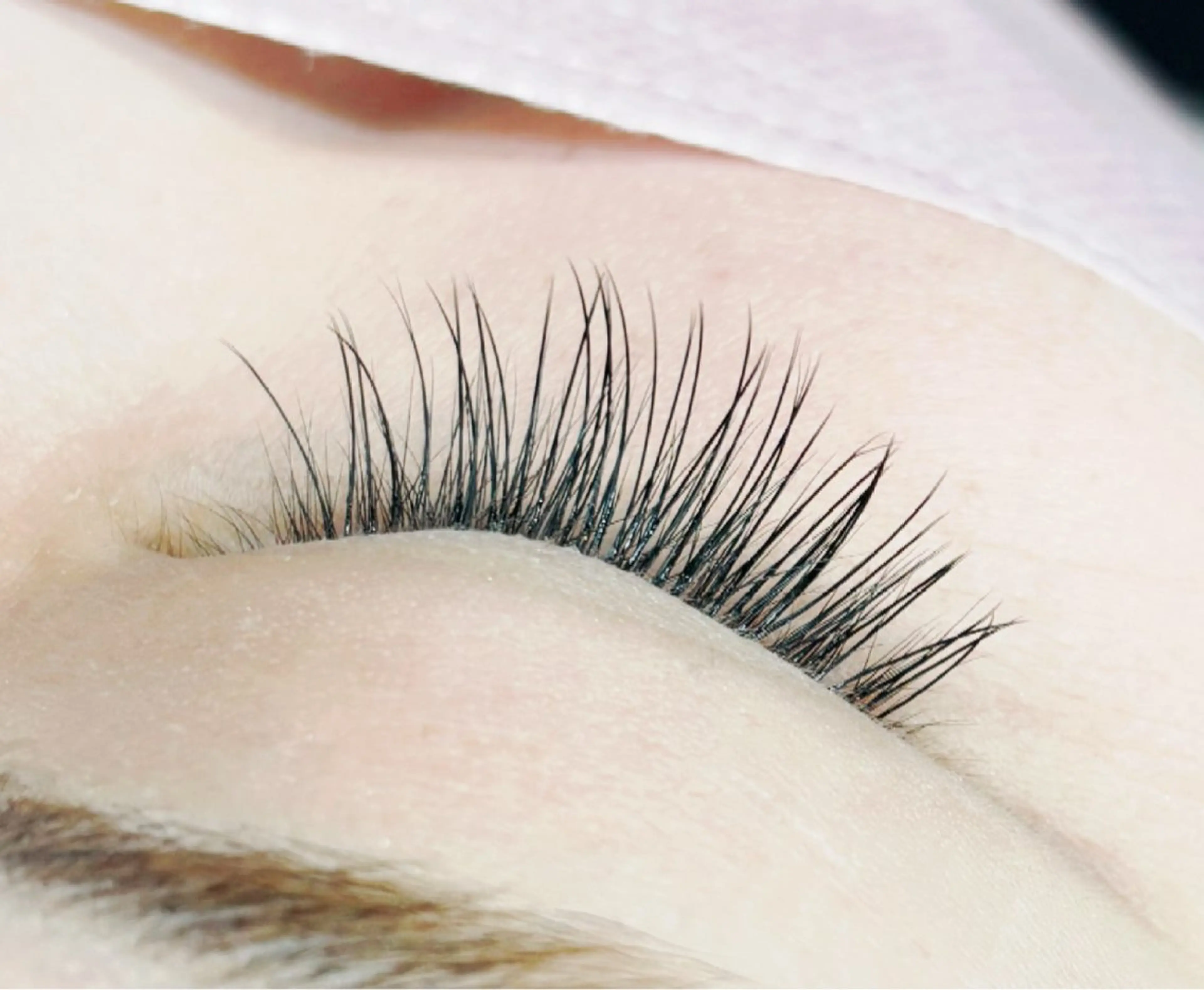 フラットラッシュ マツエク100本 オフ込の写真