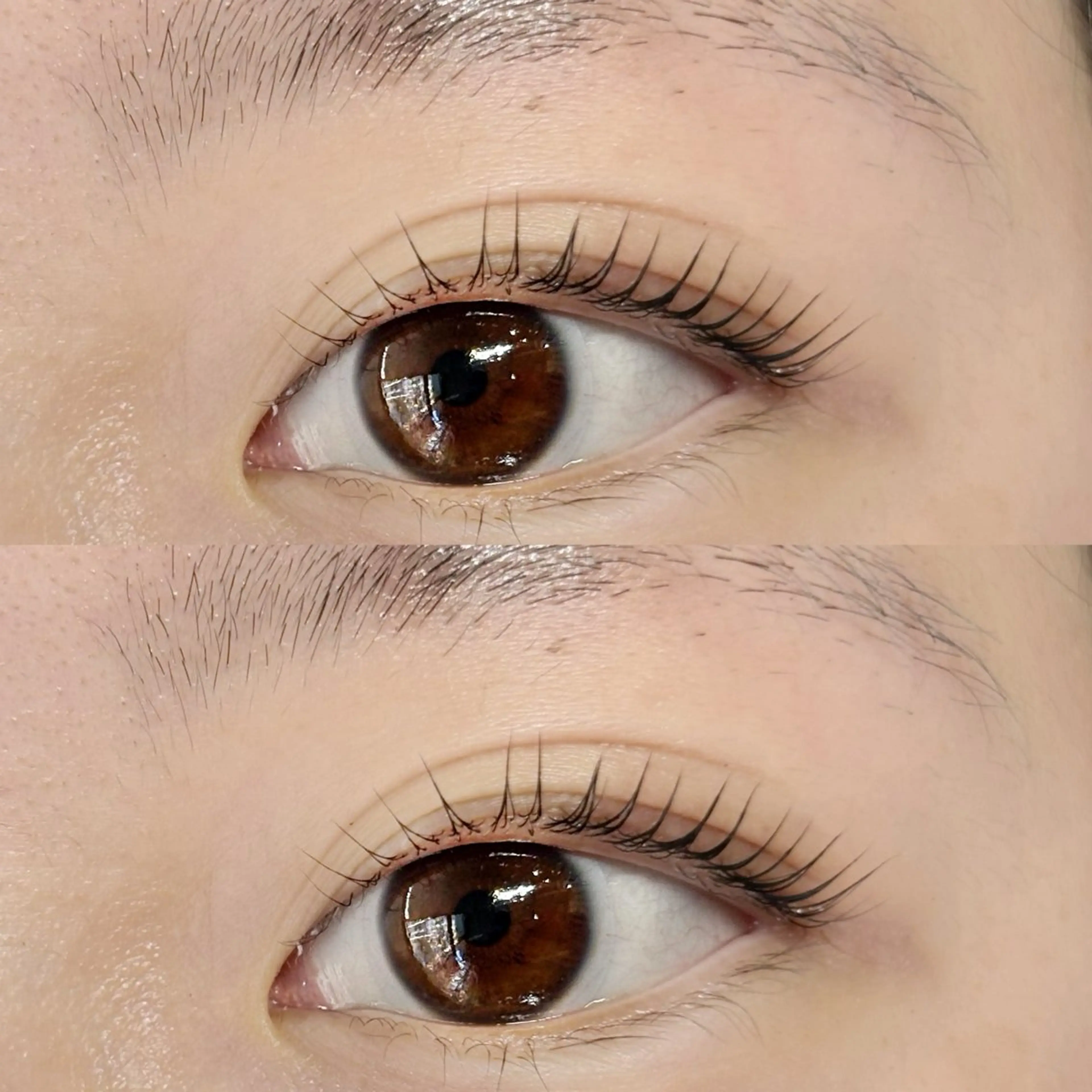 マツエク・マツパ マツパ lino eyelash&eyebrow淡路店所属・【lino】 Reina🎀のマツエク・マツパデザイン