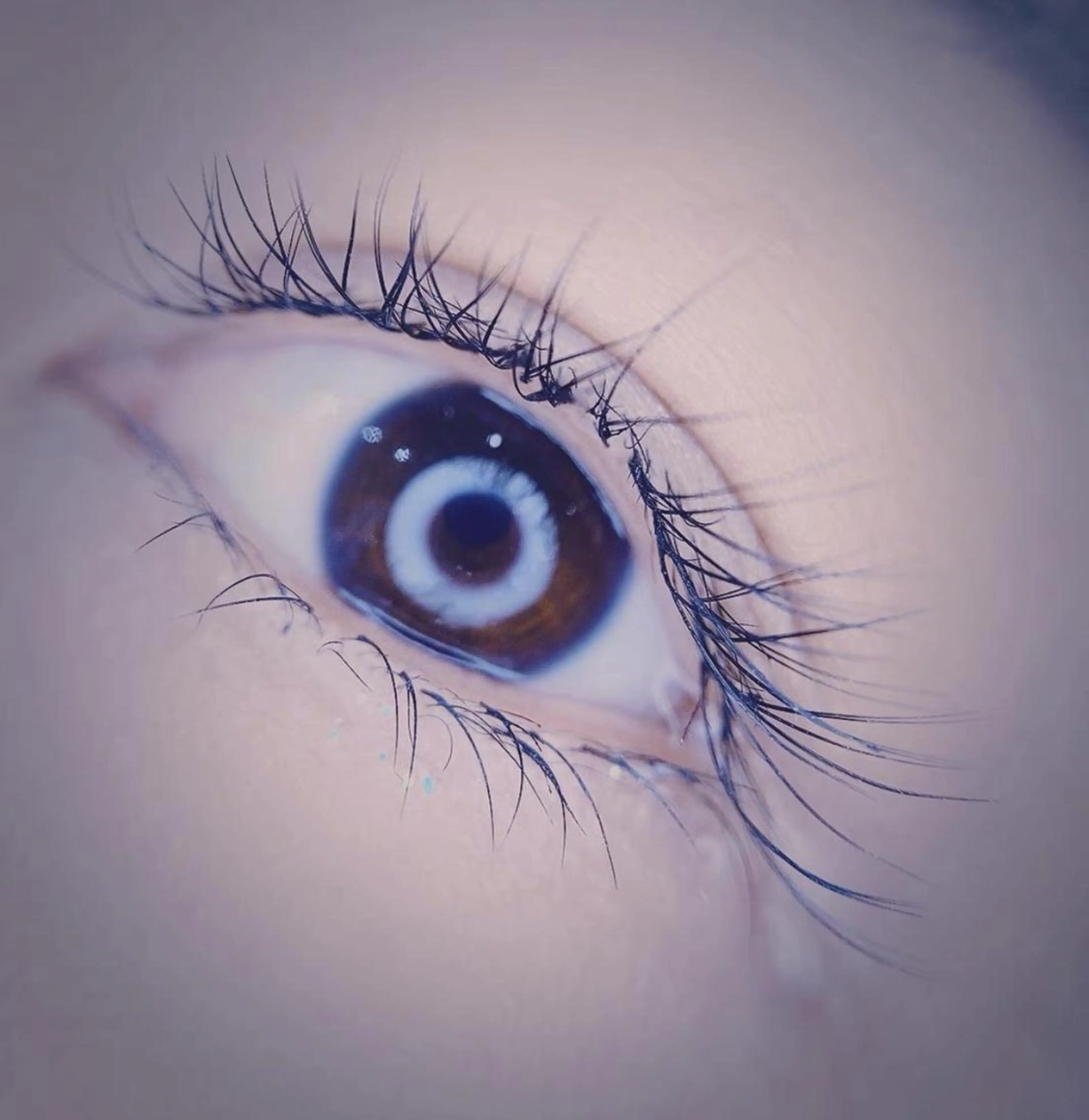 マツエク・マツパ Cute B e au t yのマツエク・マツパデザイン