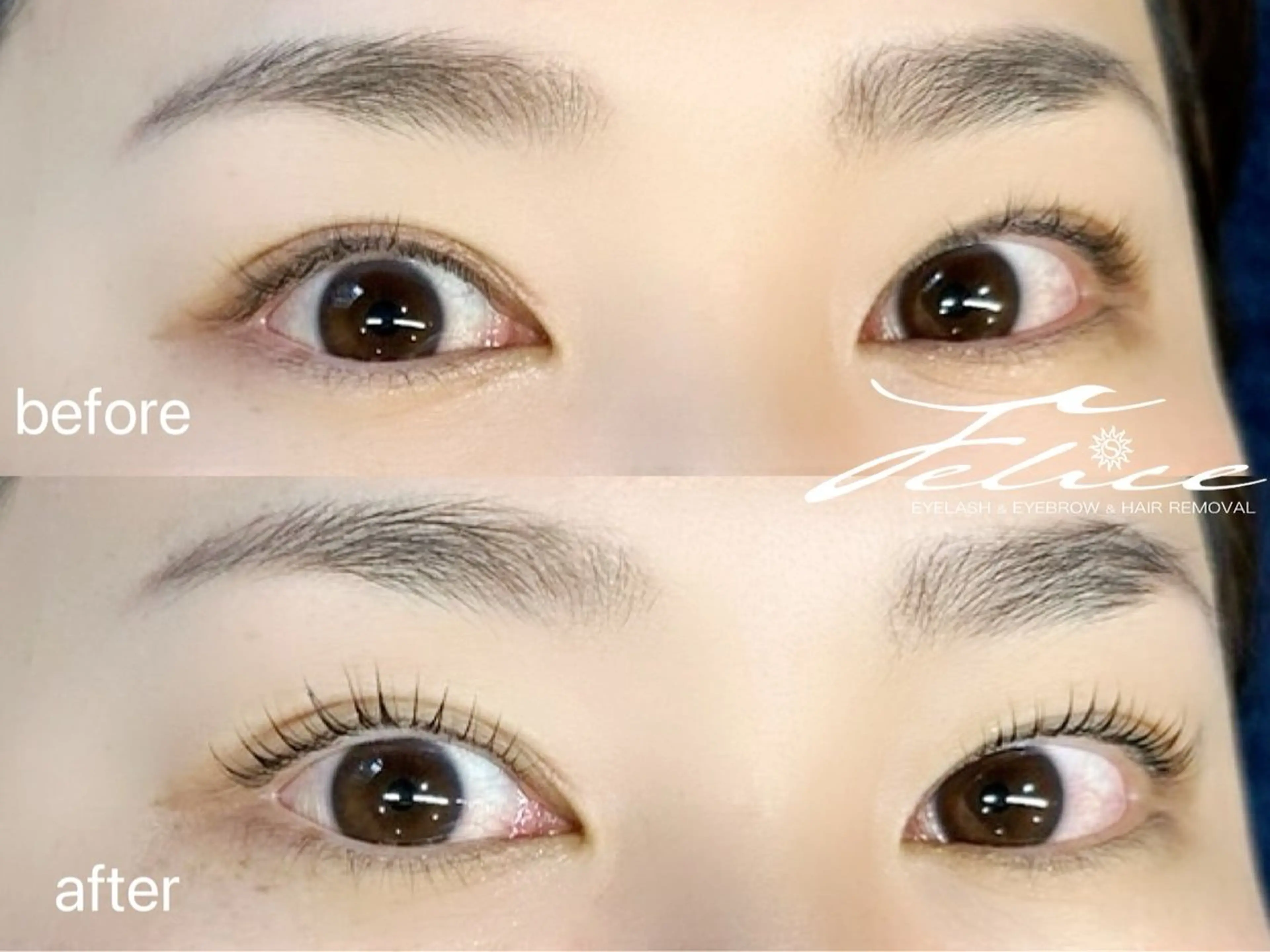 マツエク・マツパ マツパ Felice学芸大学/まつげ/眉毛専門サロン所属・Felice AYAのマツエク・マツパデザイン