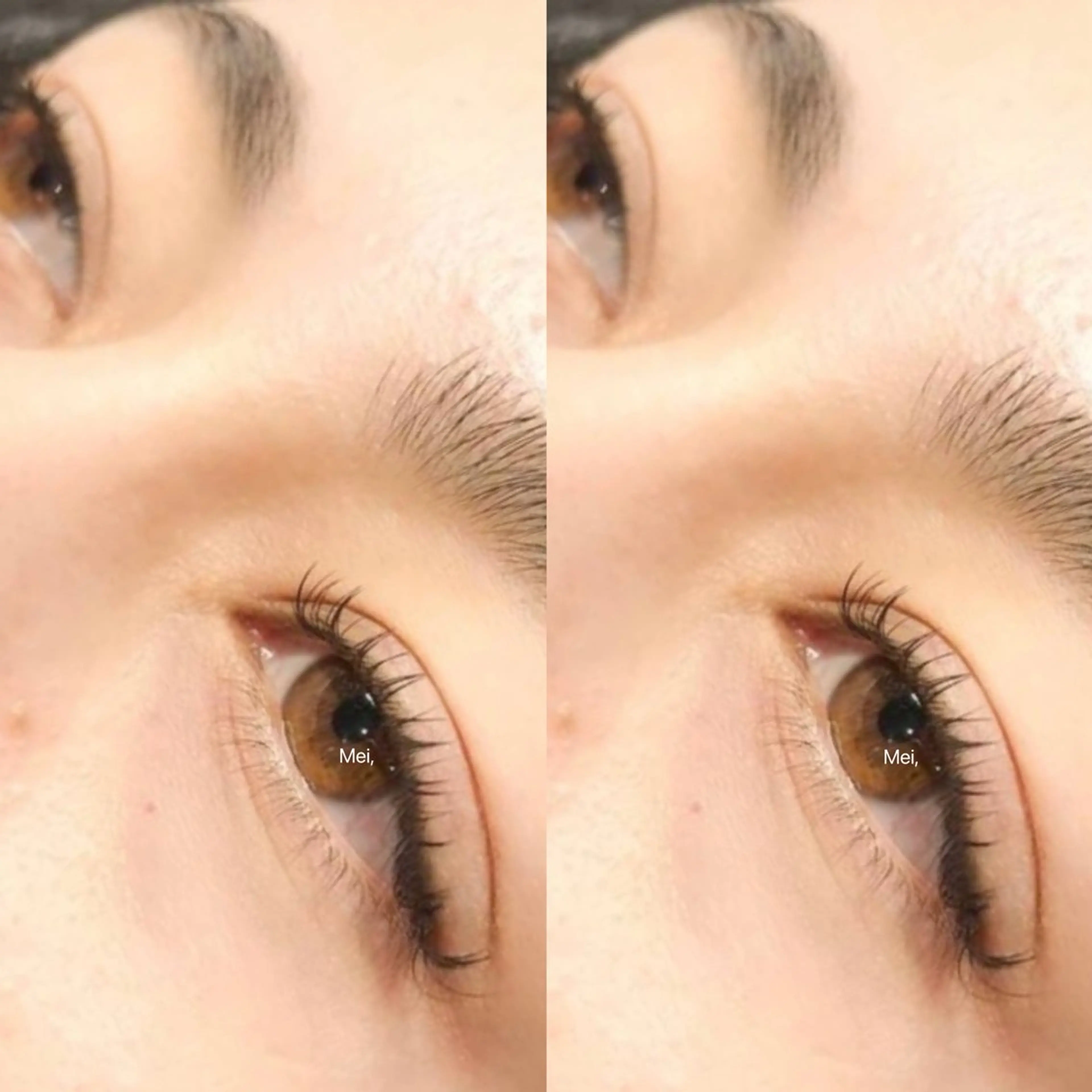 マツエク・マツパ フラットラッシュ EYELASH&NAIL   AnK所属・AnK Meiのマツエク・マツパデザイン