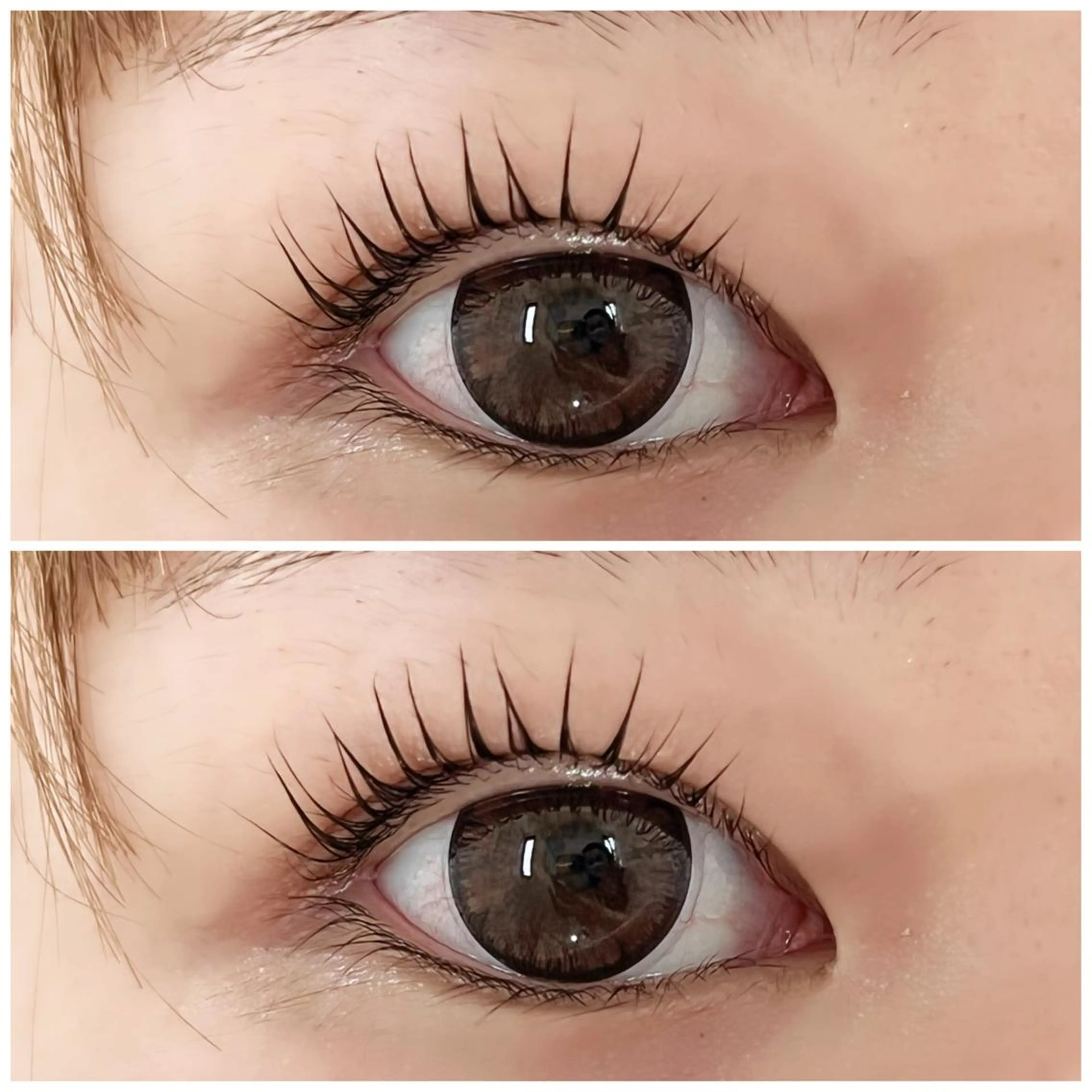 パーマ ミントラッシュ　　八王子店所属・. 𝗬𝗨のマツエク・マツパデザイン