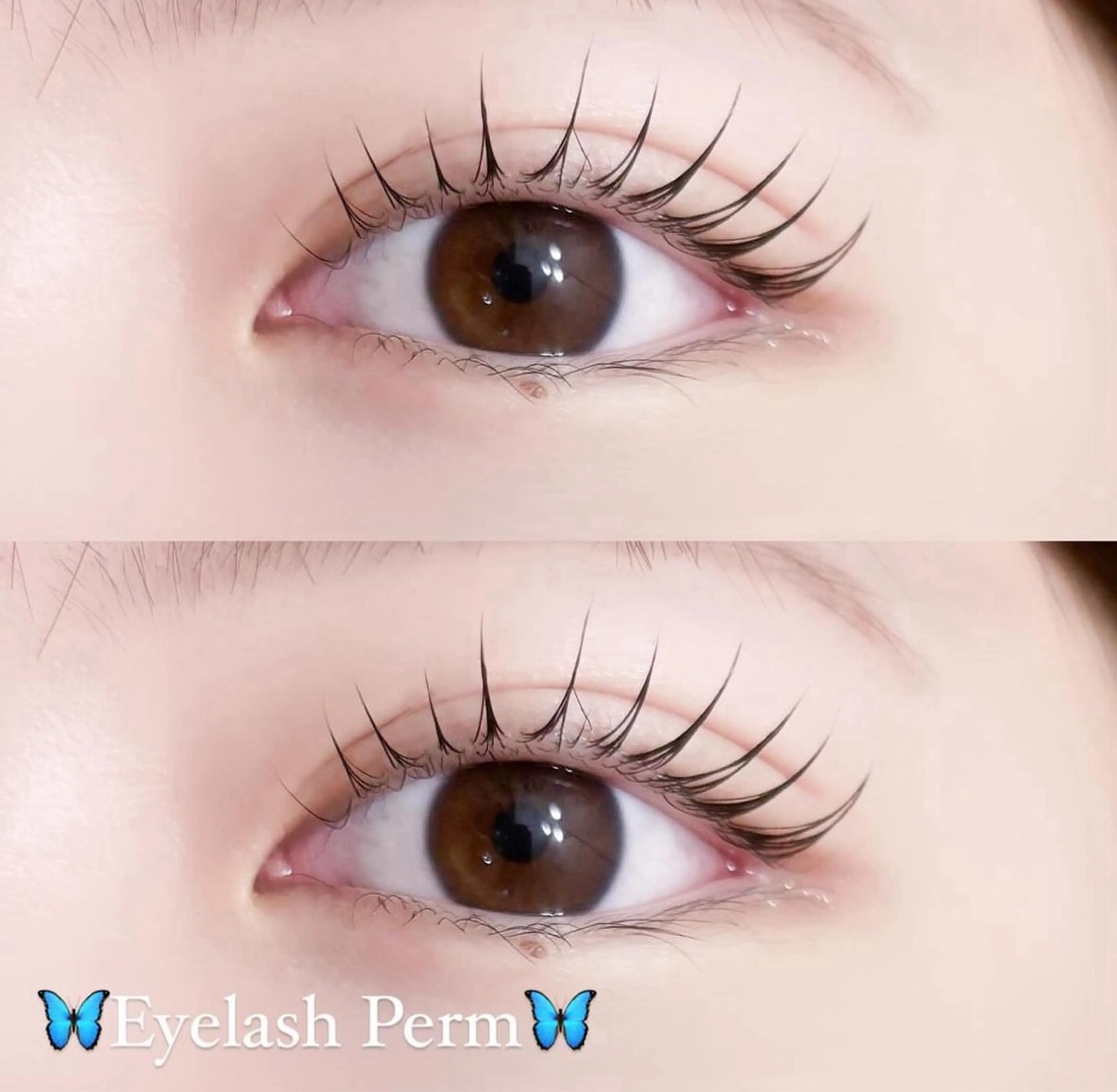 マツエク・マツパ Nabi/ Rikuのマツエク・マツパデザイン