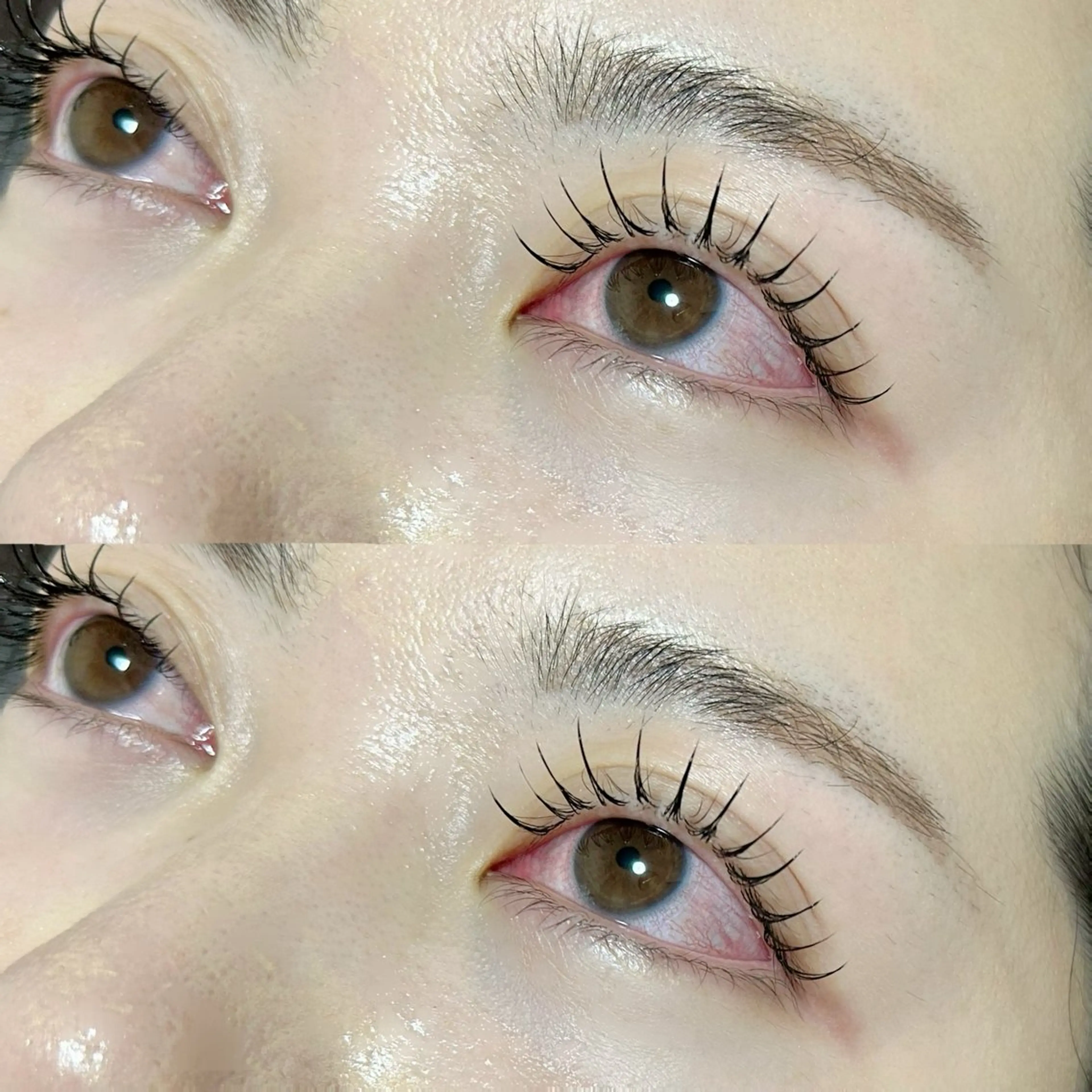 フラットラッシュ120本の写真