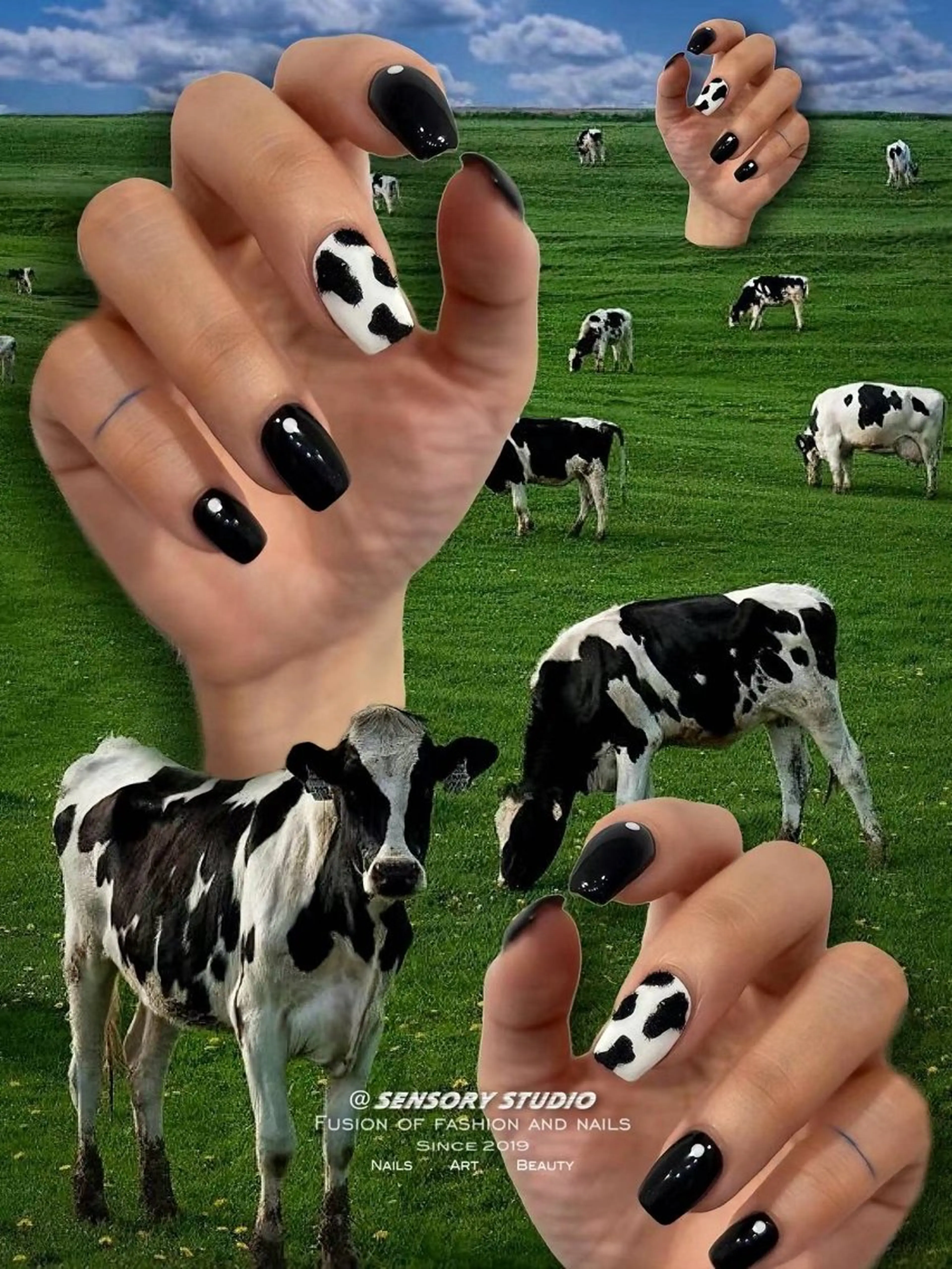 ネイル アートネイル チークネイル フレンチネイル グラデーション マグネットネイル ハンドネイル S.nail所属・S.nail _のネイルデザイン