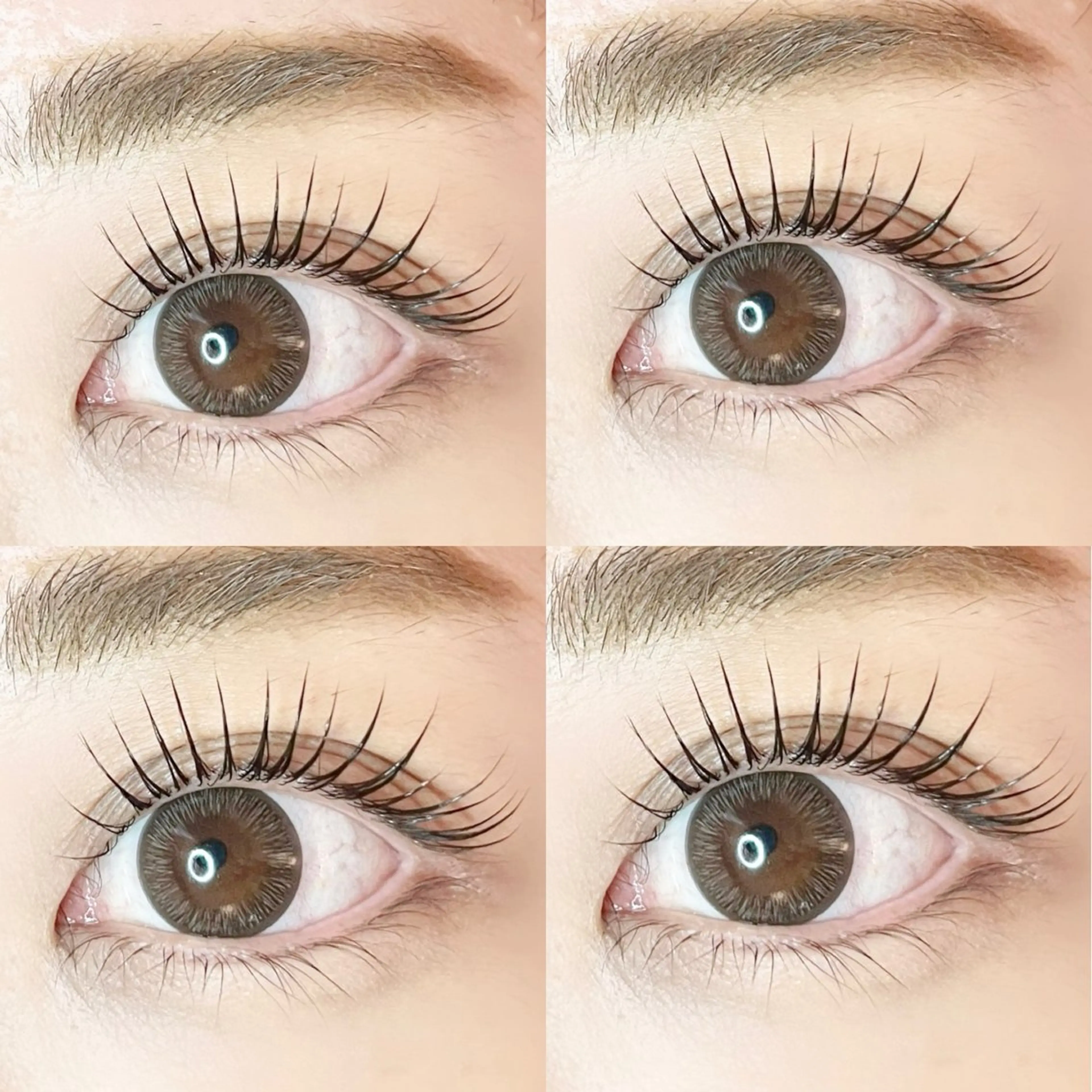 韓国束感🤍ケラチンTR付きまつ毛パーマorパリジェンヌの写真