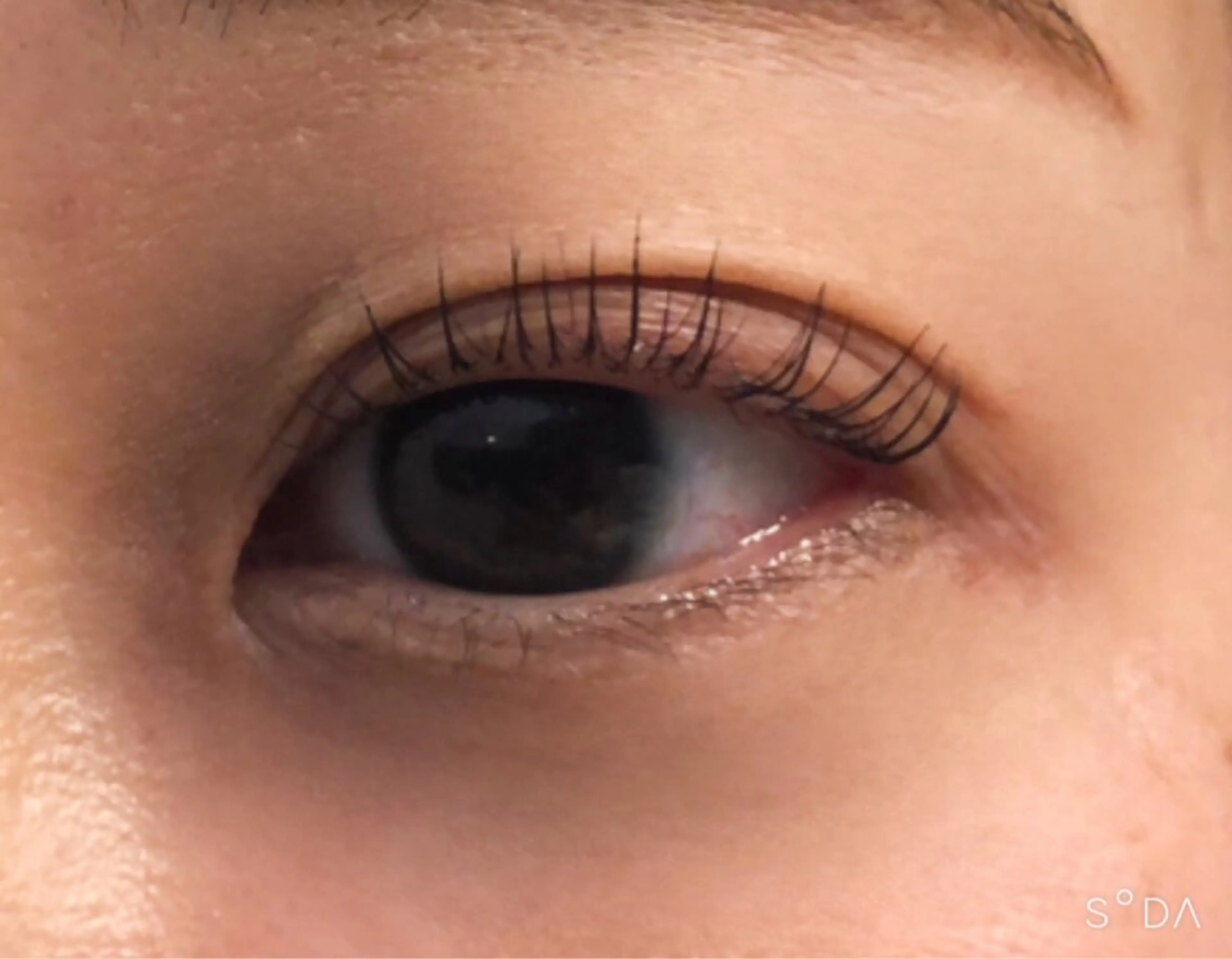 マツエク・マツパ マツパ EYELASHSALON  LUNA LUNA所属・LUNA LUNA byOean’S田中のマツエク・マツパデザイン