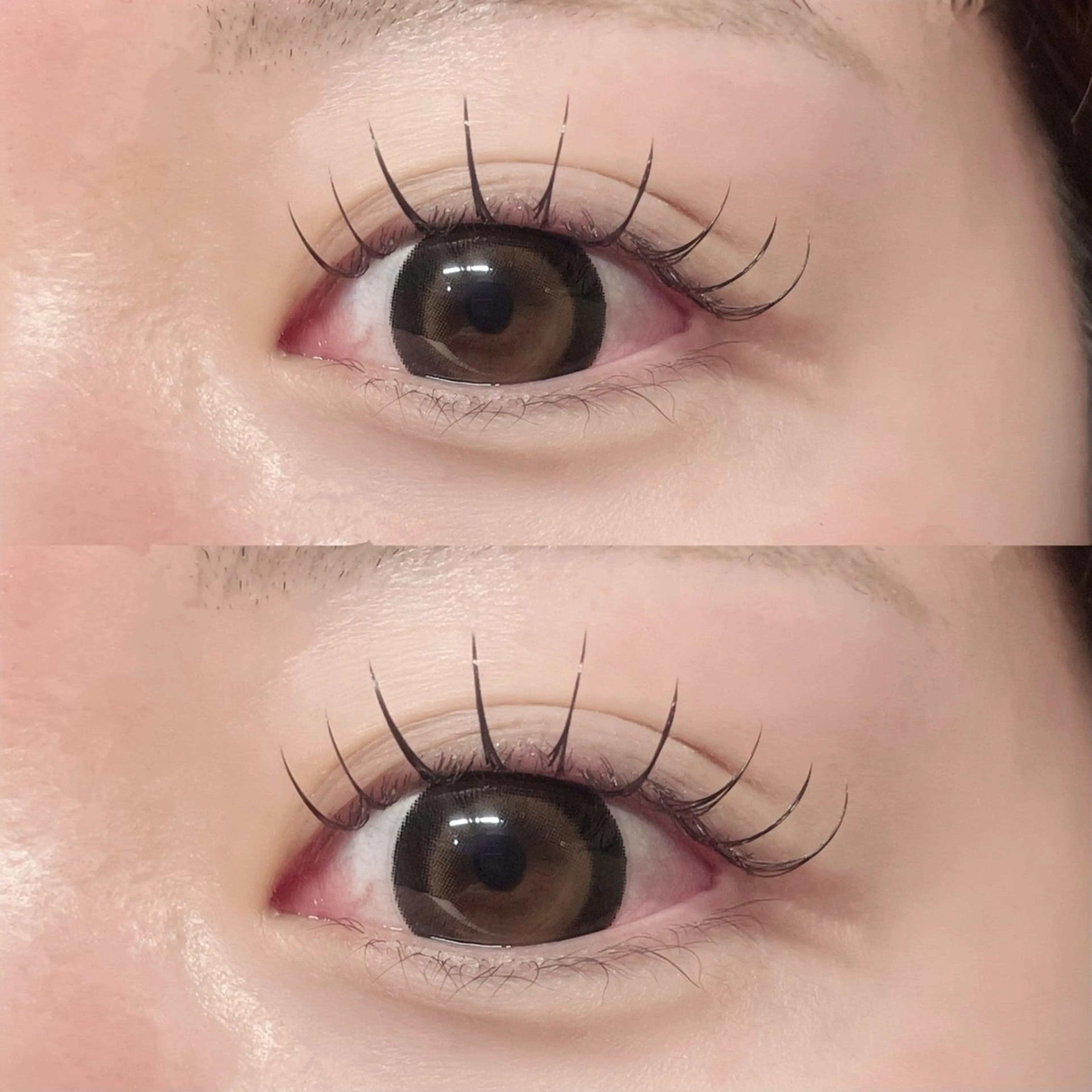 マツエク・マツパ マツエク Nyan. 【桜川】のマツエク・マツパデザイン