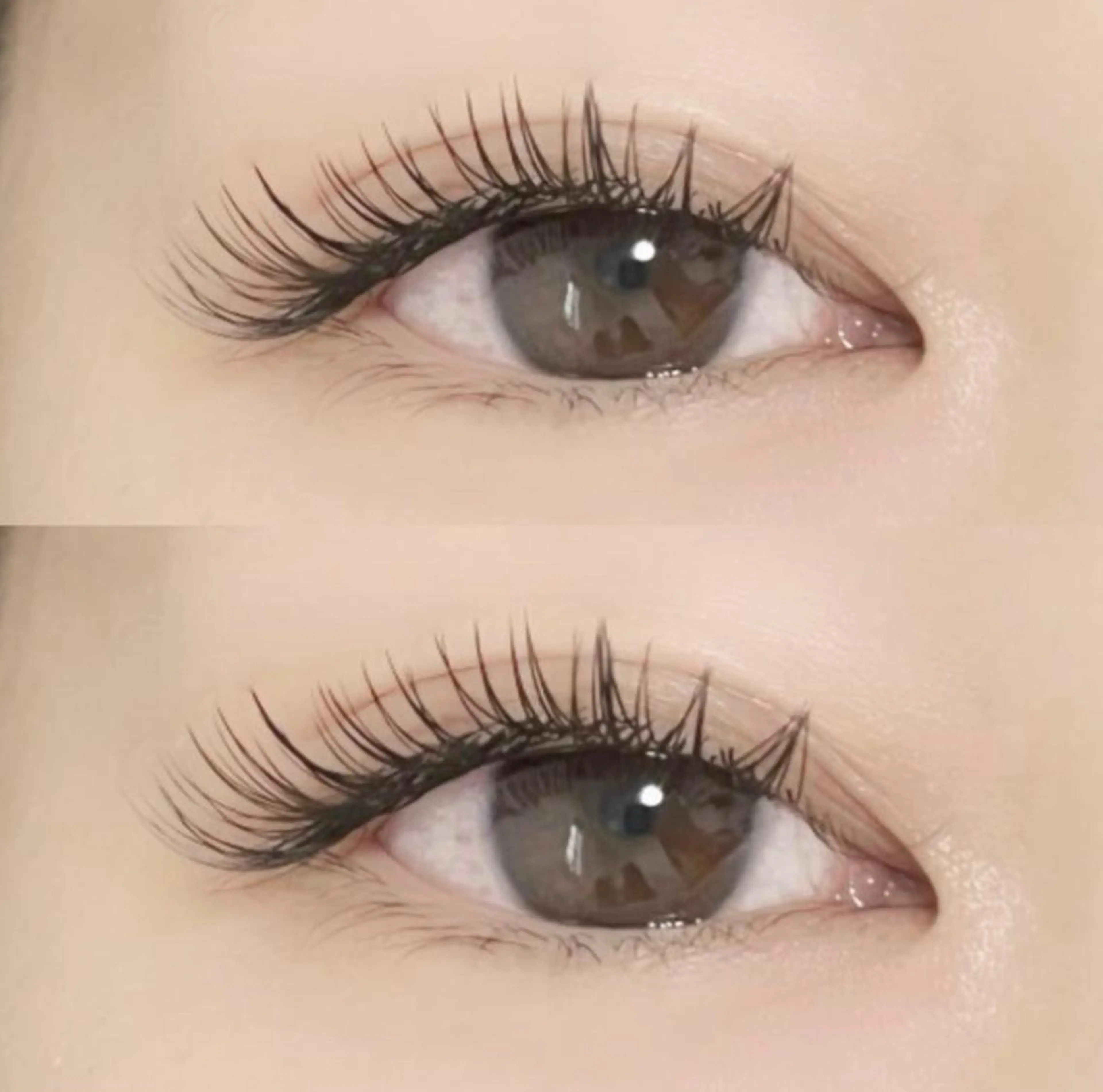 【3WEEK以内の再来】セーブル40本までお付け足しの写真