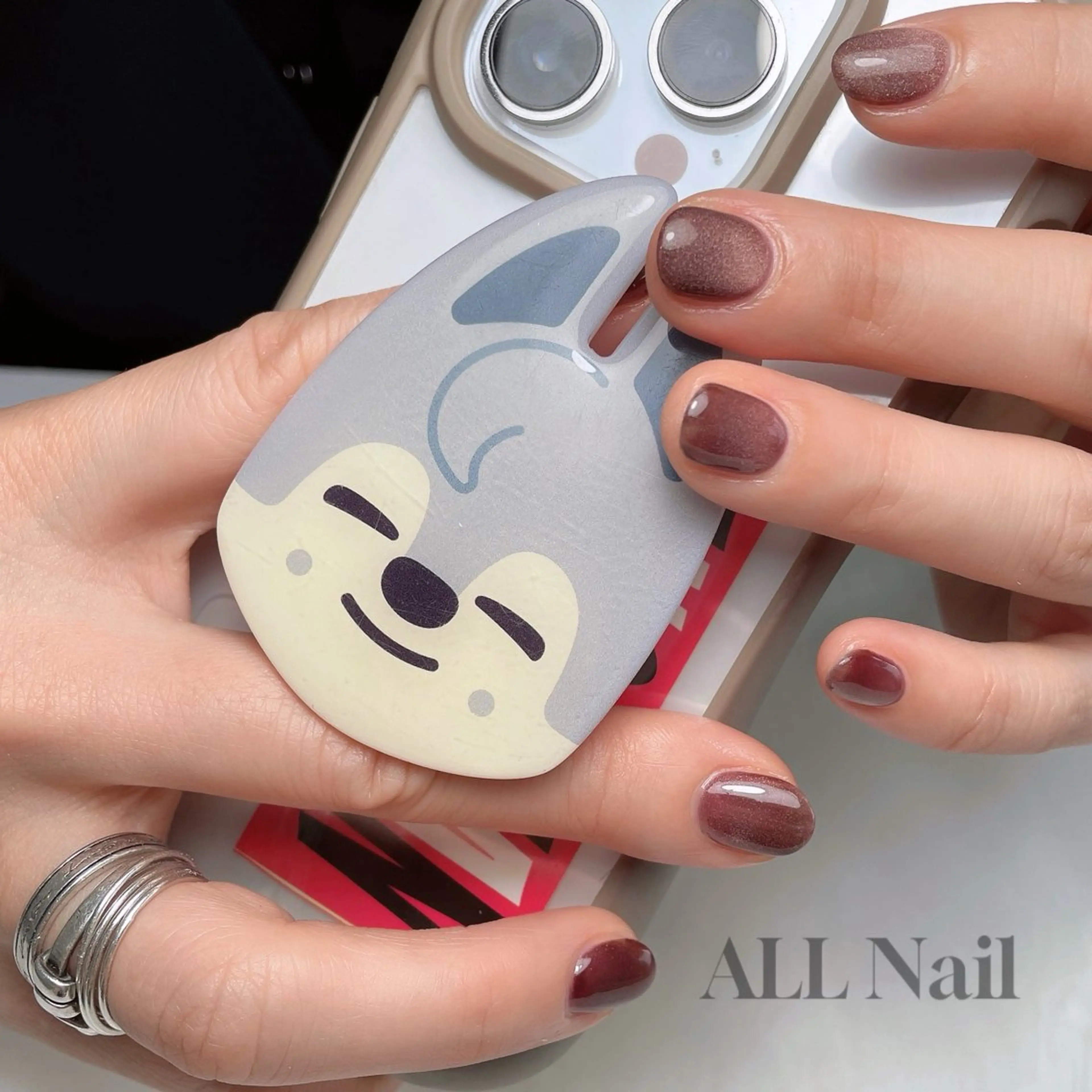 ネイル ブラウン マグネットネイル ワンカラーネイル ALL Nail &whiteningのその他イメージ