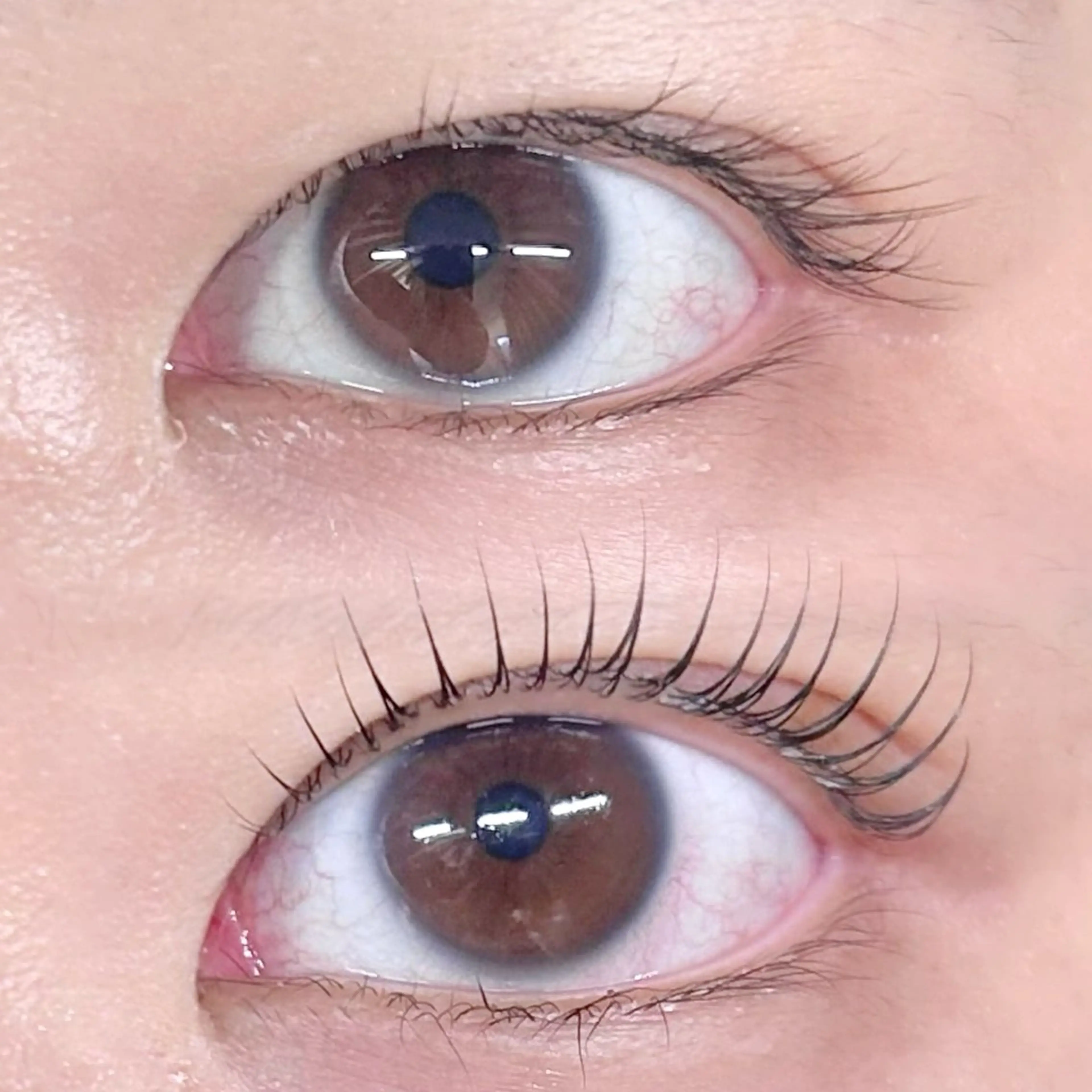 マツエク・マツパ マツパ 美眉/まつ毛 shuka🩶🎧の眉毛・アイブロウイメージ