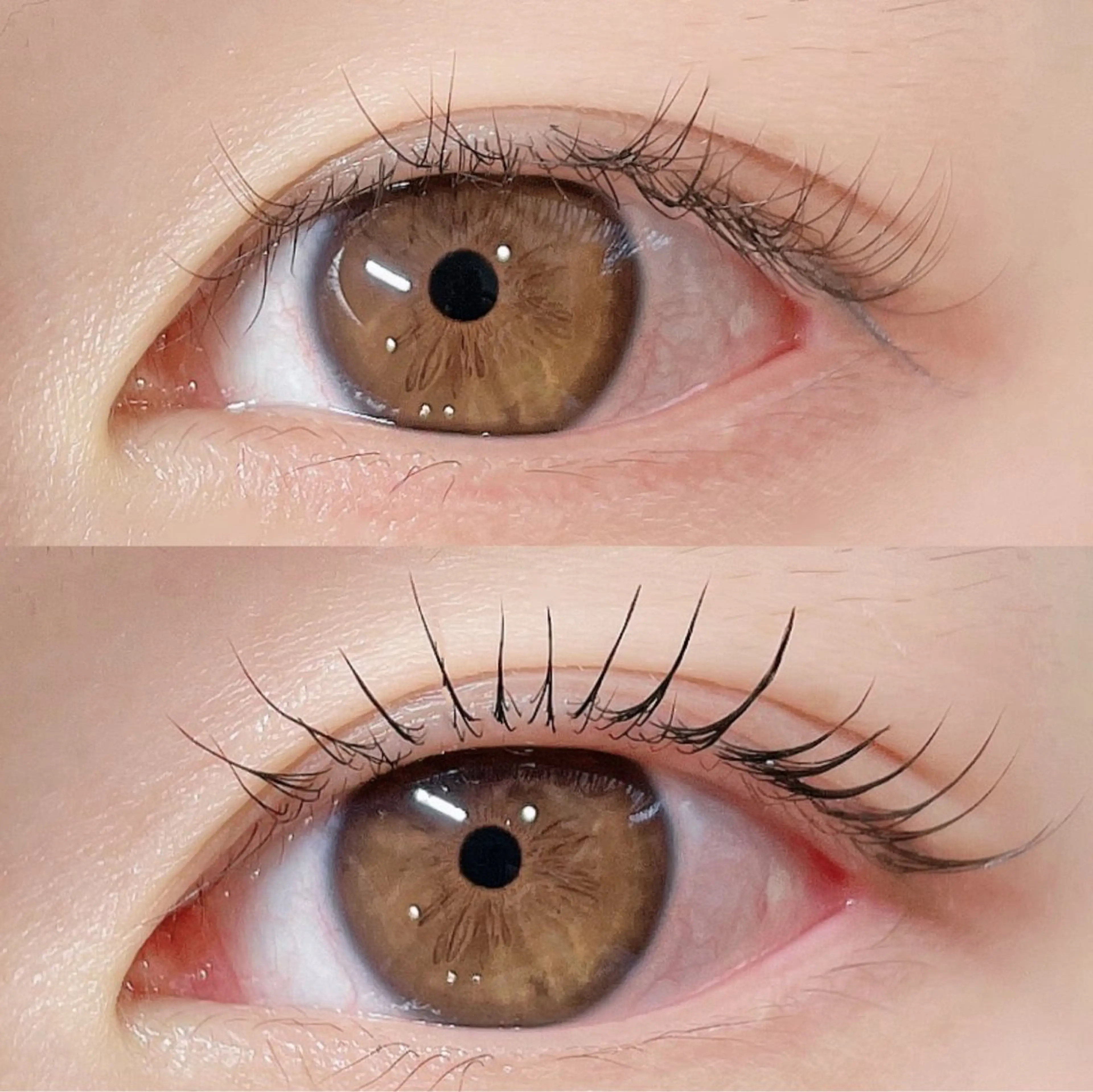 マツエク・マツパ 韓国風マツエク パリジェンヌラッシュリフト まつげパーマ 下まつげエクステ 一重×まつ毛パーマ マツパ 🎀Lino 中目黒 TAKAMI🐈のマツエク・マツパデザイン