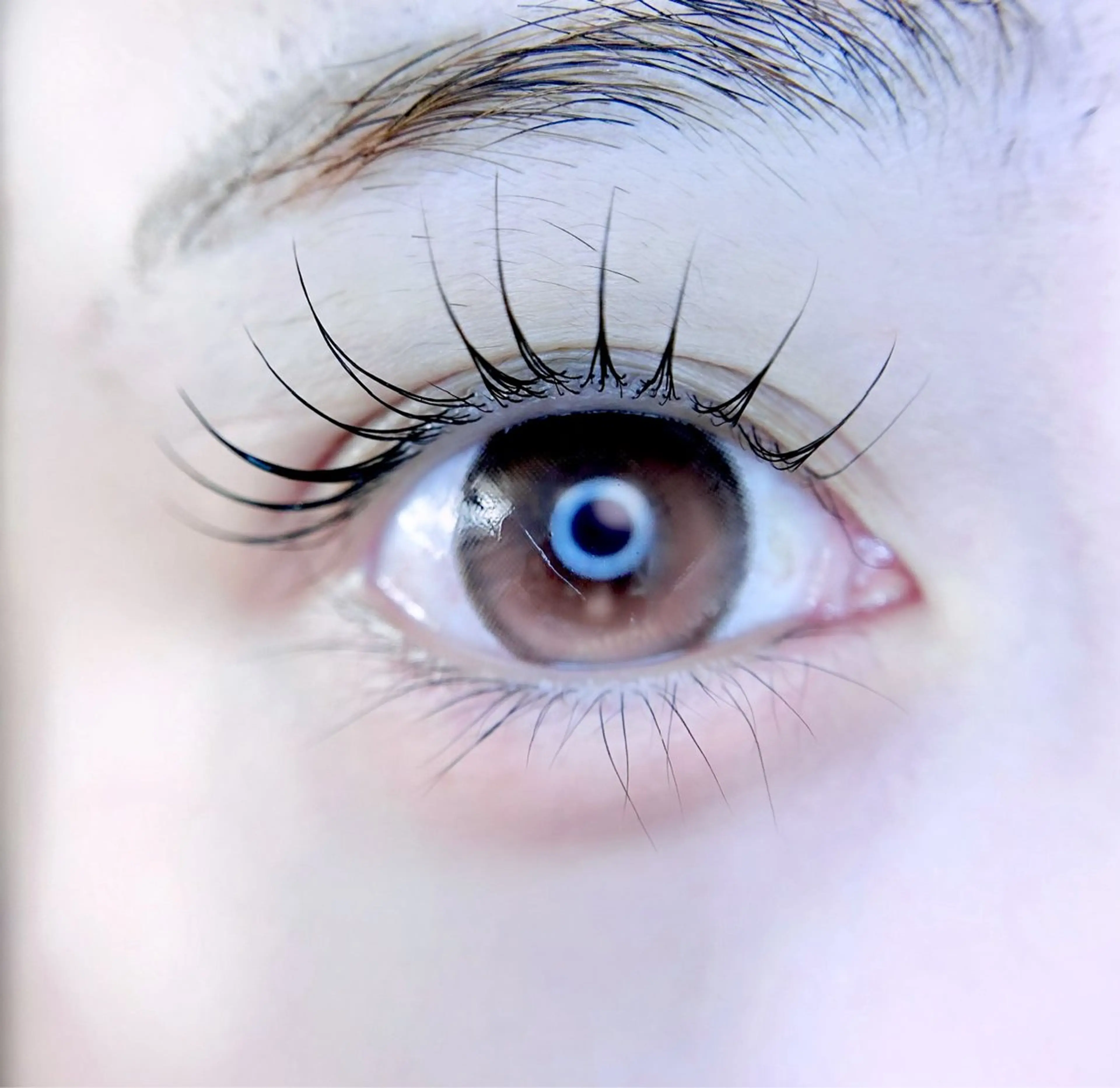 マツエク・マツパ eyelist. mizuki🐈⬛の眉毛・アイブロウイメージ