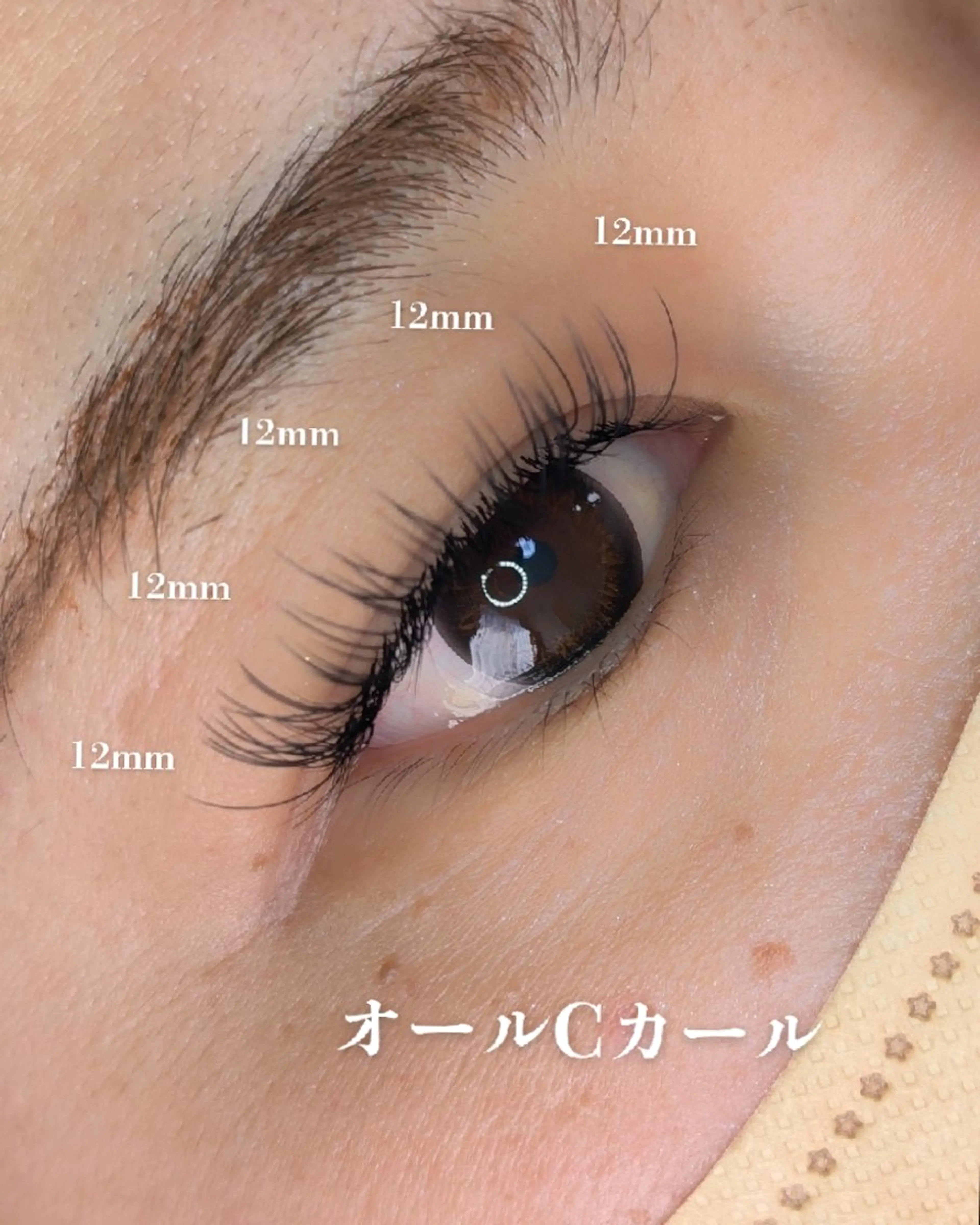 マツエク・マツパ Cカール マツエク EYELASH lino　合志市のマツエク・マツパデザイン