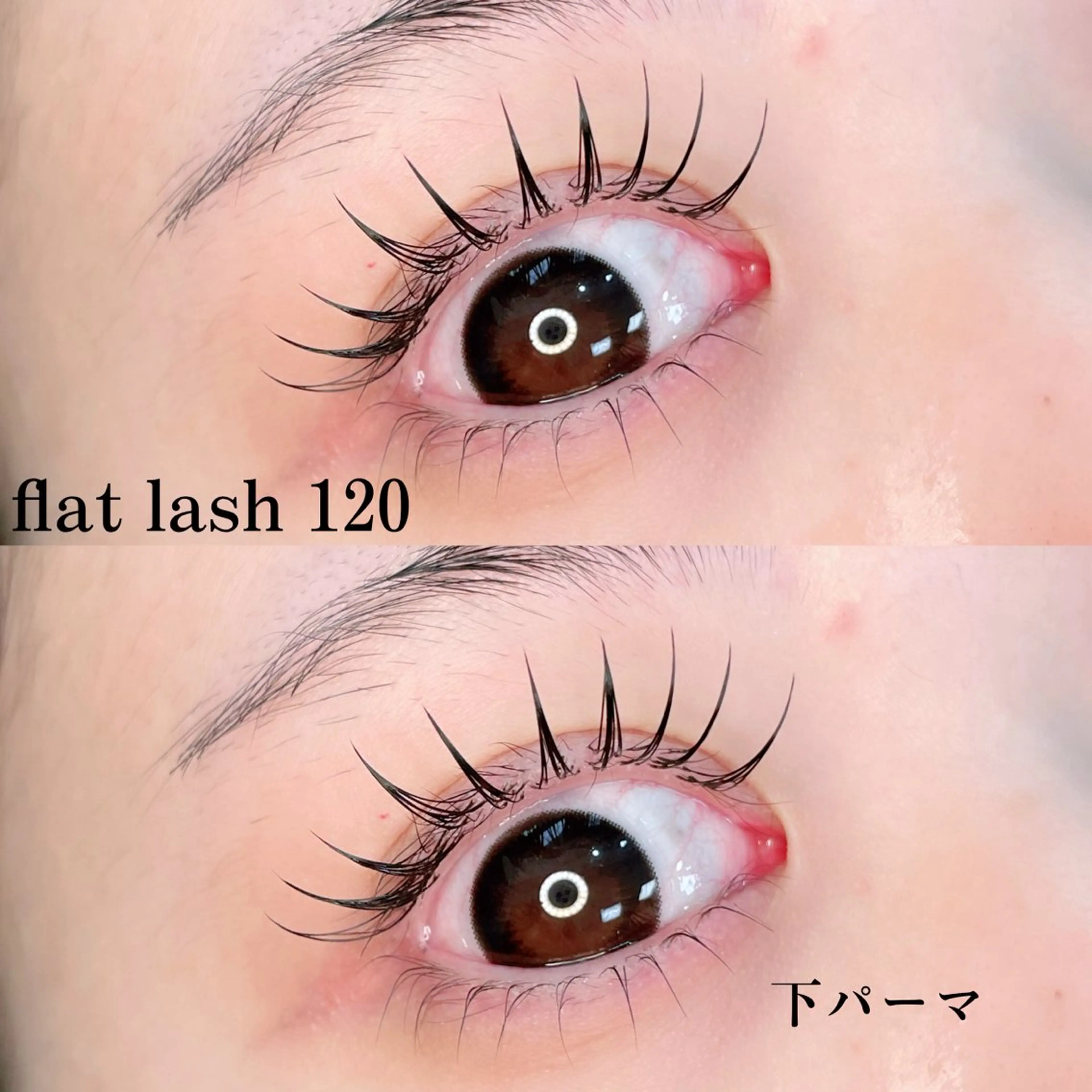 マツエク・マツパ マツエク パリジェンヌ/美眉 OLIVIA加藤のマツエク・マツパデザイン