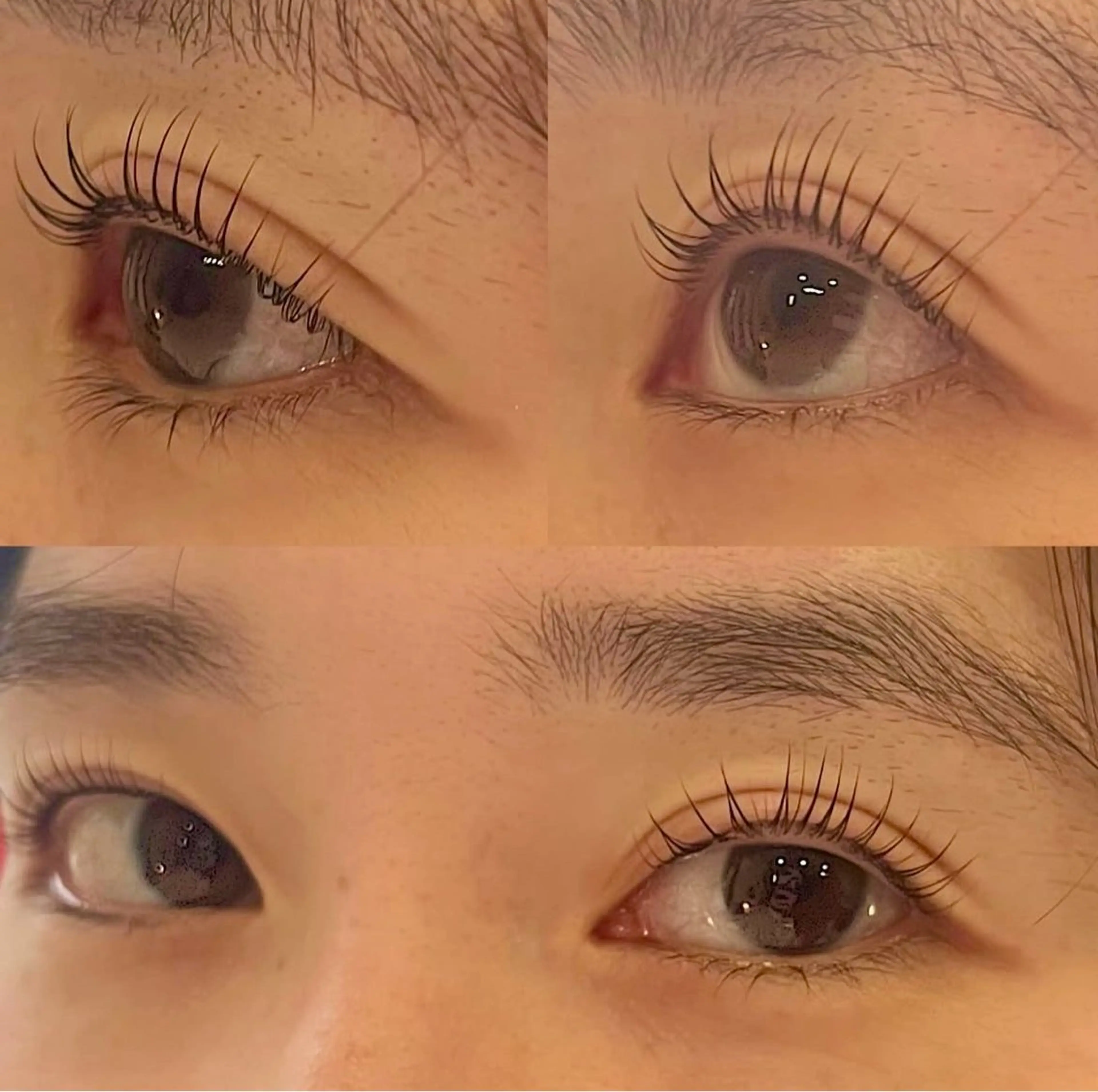 マツエク・マツパ ulm所属・ulm/ Chika🌼のマツエク・マツパデザイン