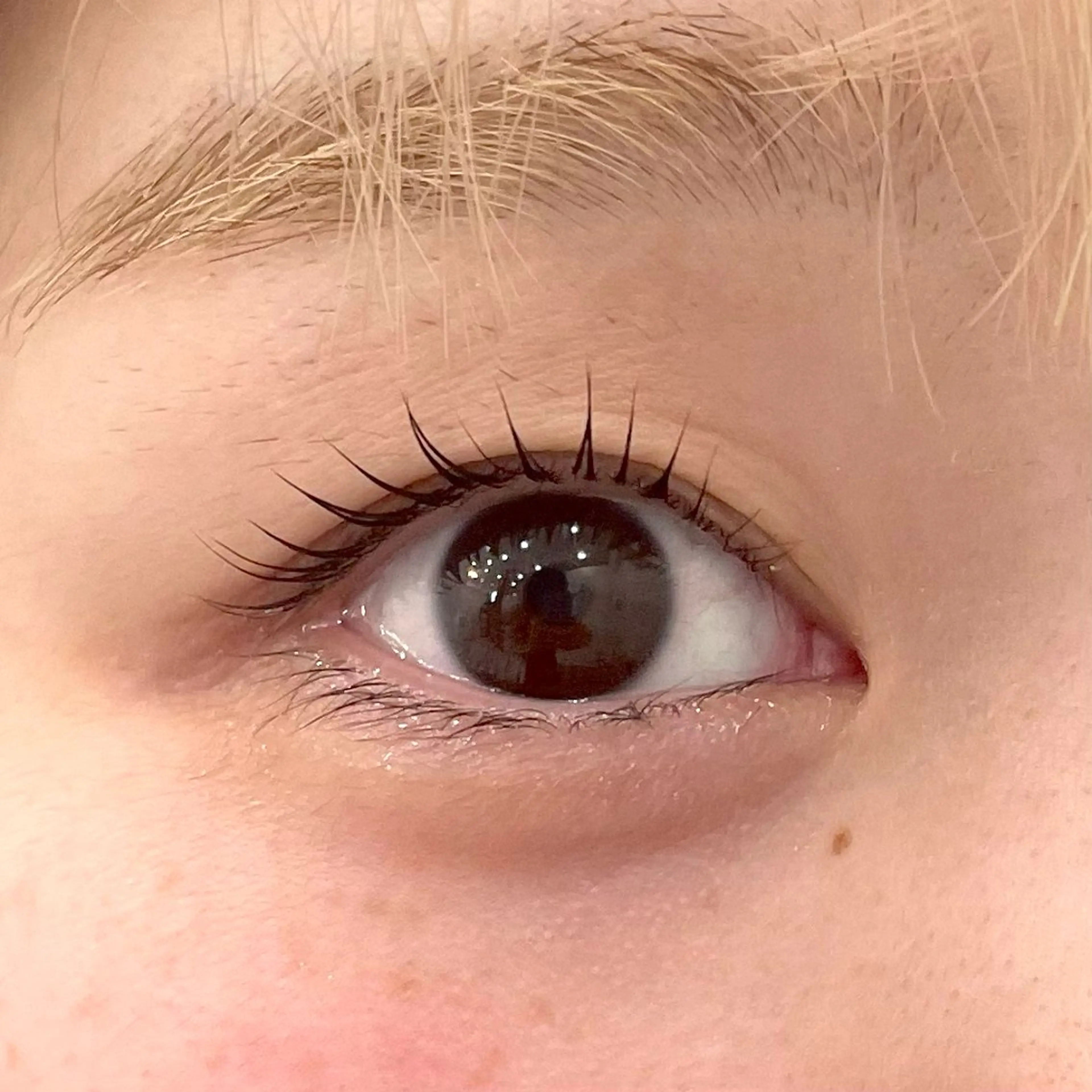 まつげパーマ＋美容液コーティング＋アイシャンプー付き🫧の写真