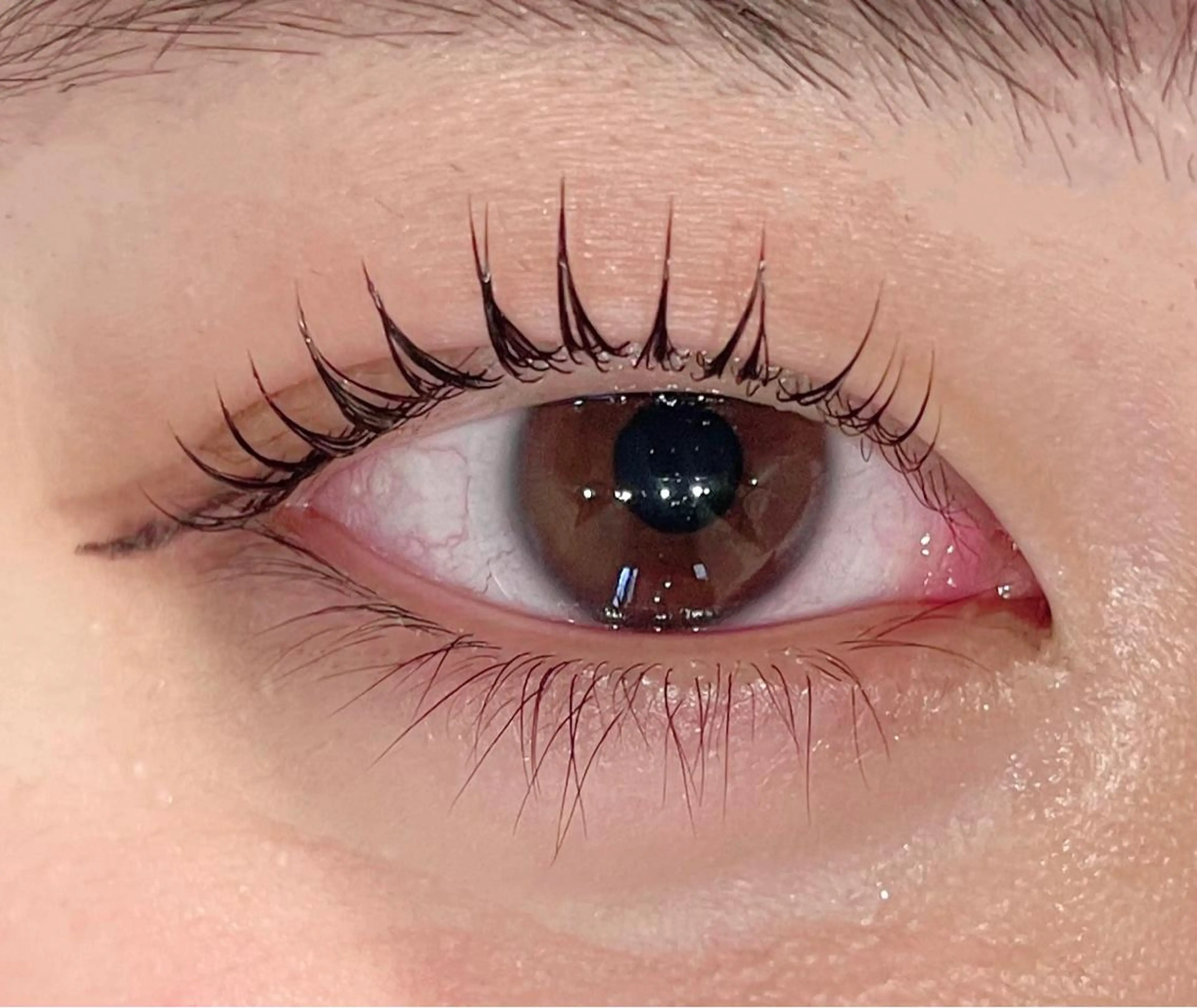 マツエク・マツパ まつげパーマ専門店 くるり🎀赤澤🎀のマツエク・マツパデザイン