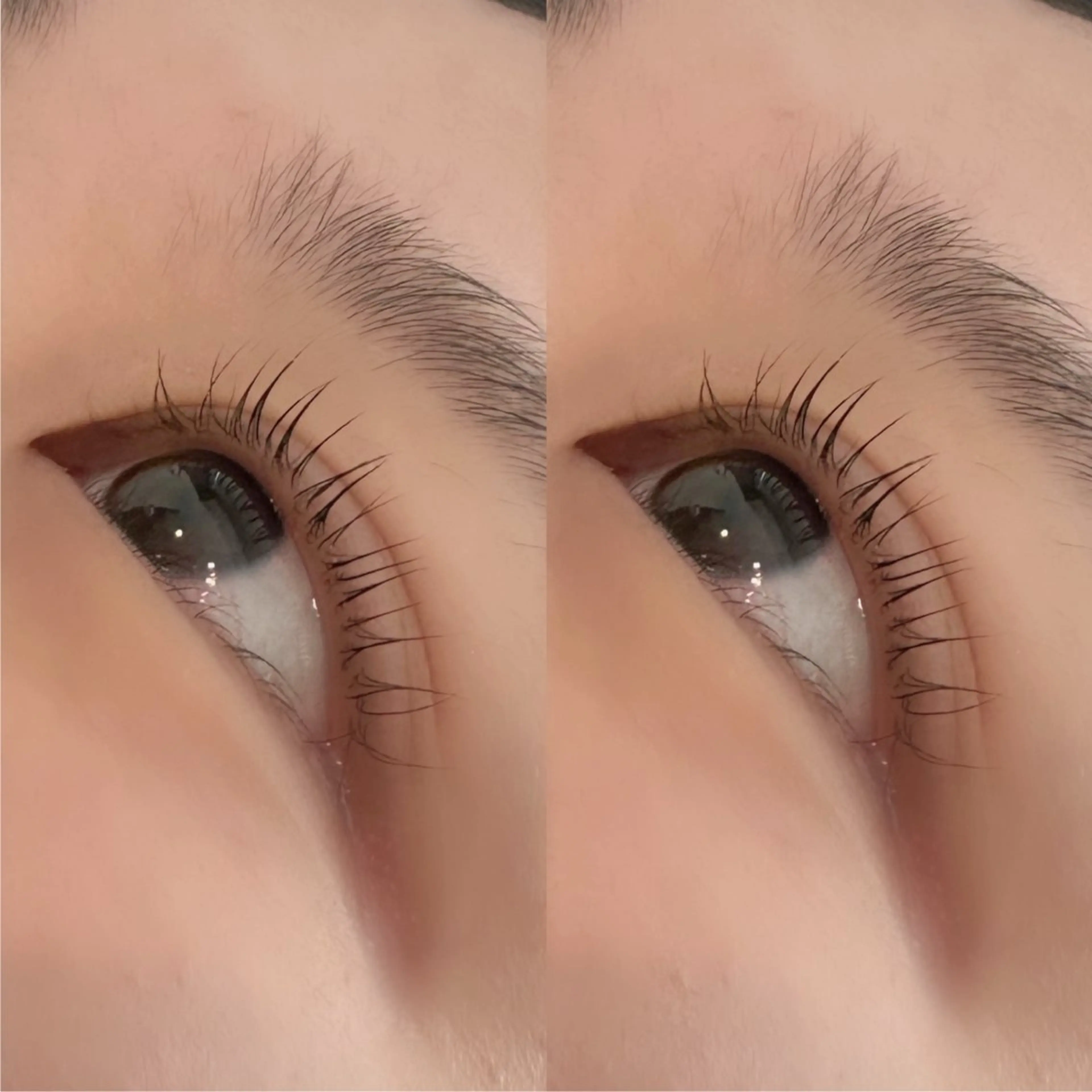 選べるまつ毛パーマ💞💫の写真