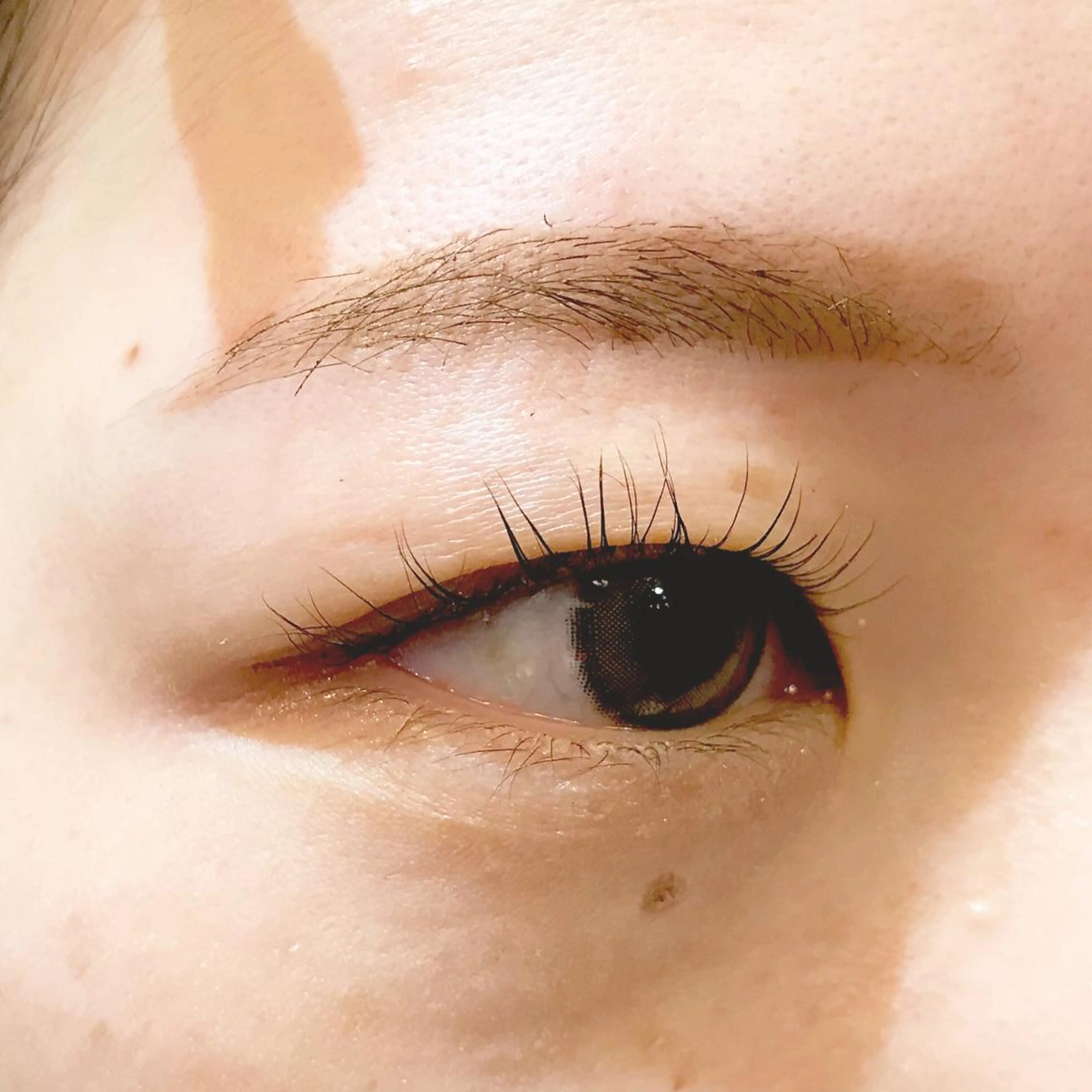 マツエク・マツパ パリジェンヌラッシュリフト 一重×まつ毛パーマ ⭐️Eye＆Eyeblowsalon⭐️Dafne⭐️所属・Dafne SAIのマツエク・マツパデザイン