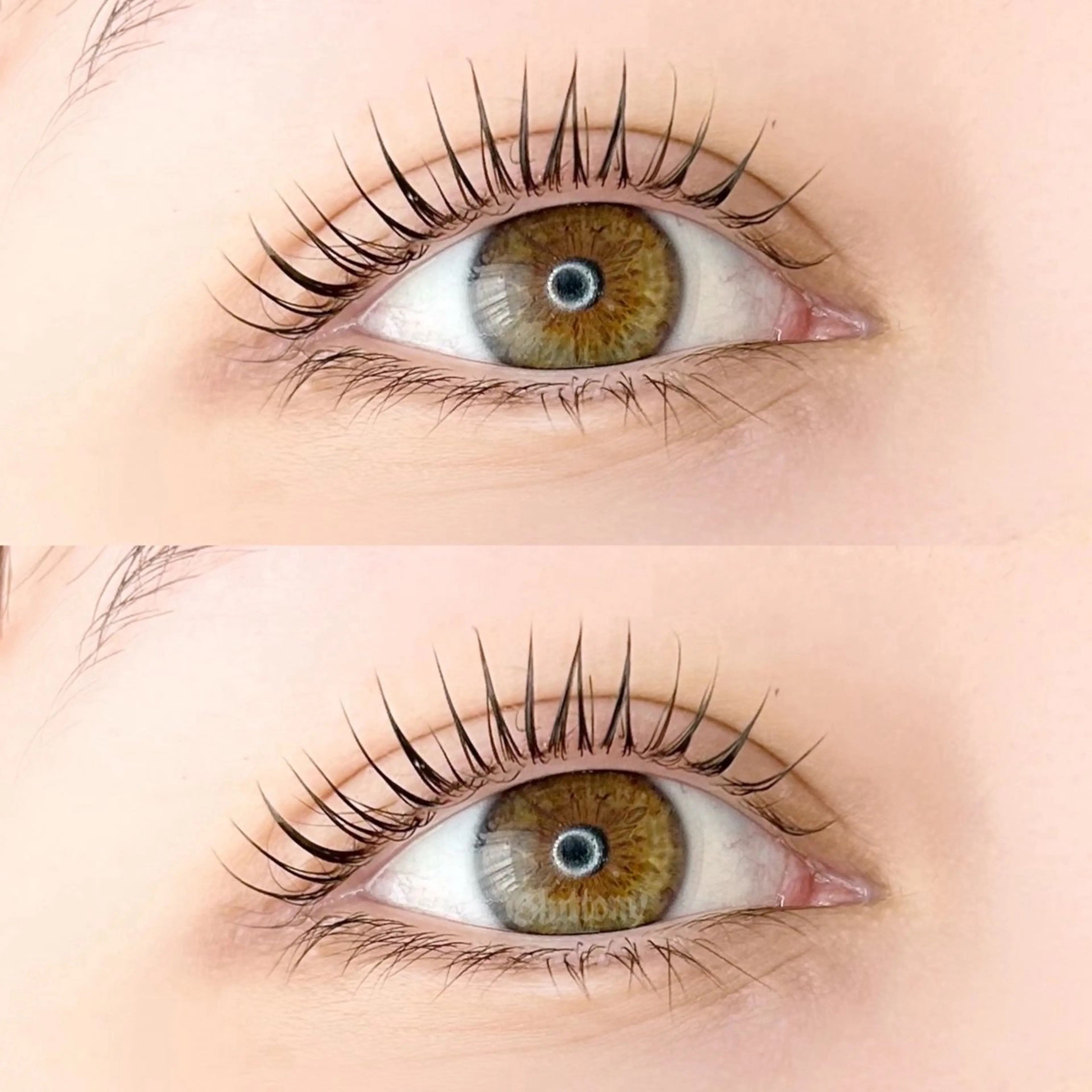 マツエク・マツパ Gluttony/ ｸﾞﾗﾄﾆｰのマツエク・マツパデザイン