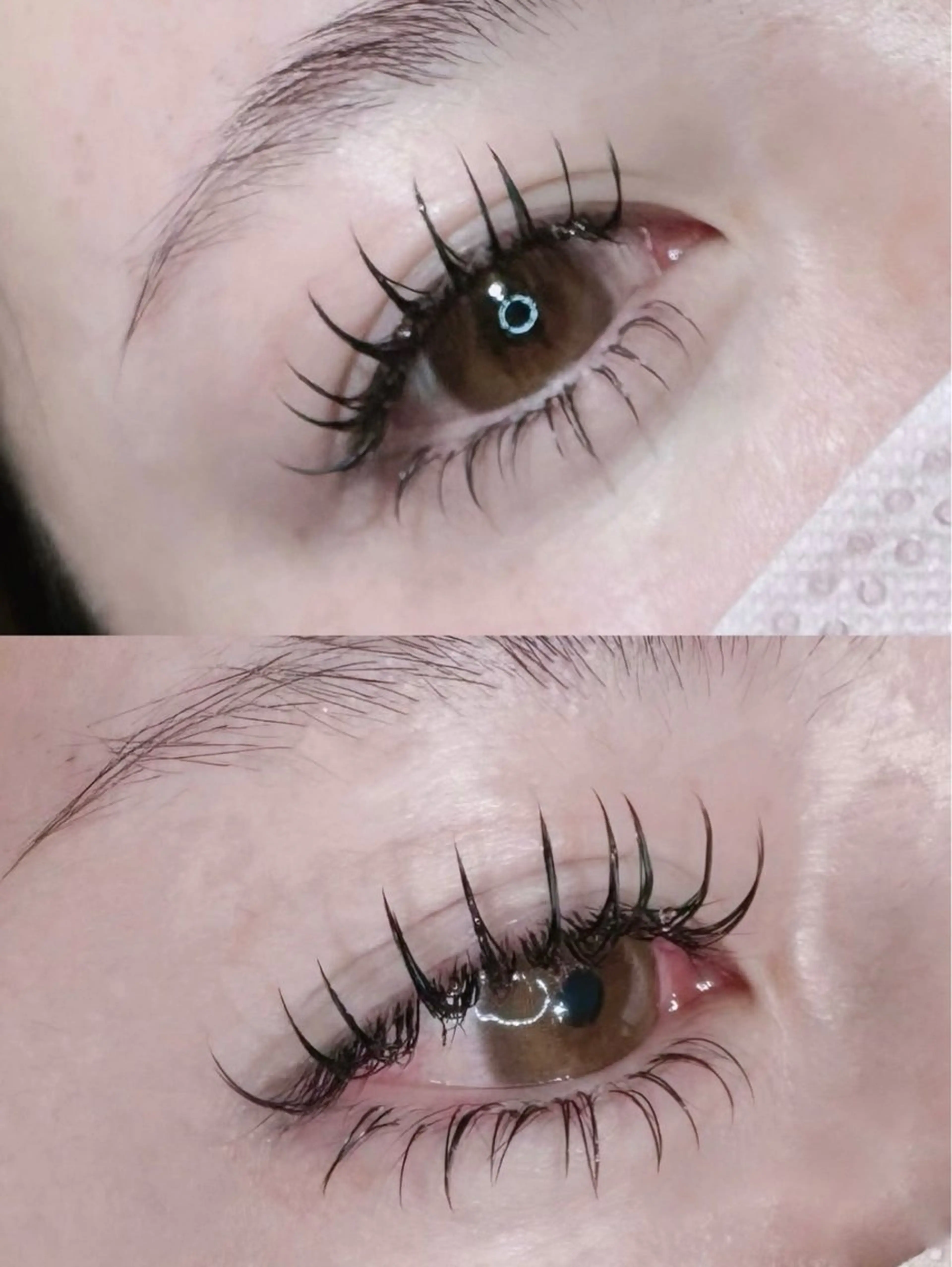 マツエク・マツパ マツエク BIJOU MIUのマツエク・マツパデザイン