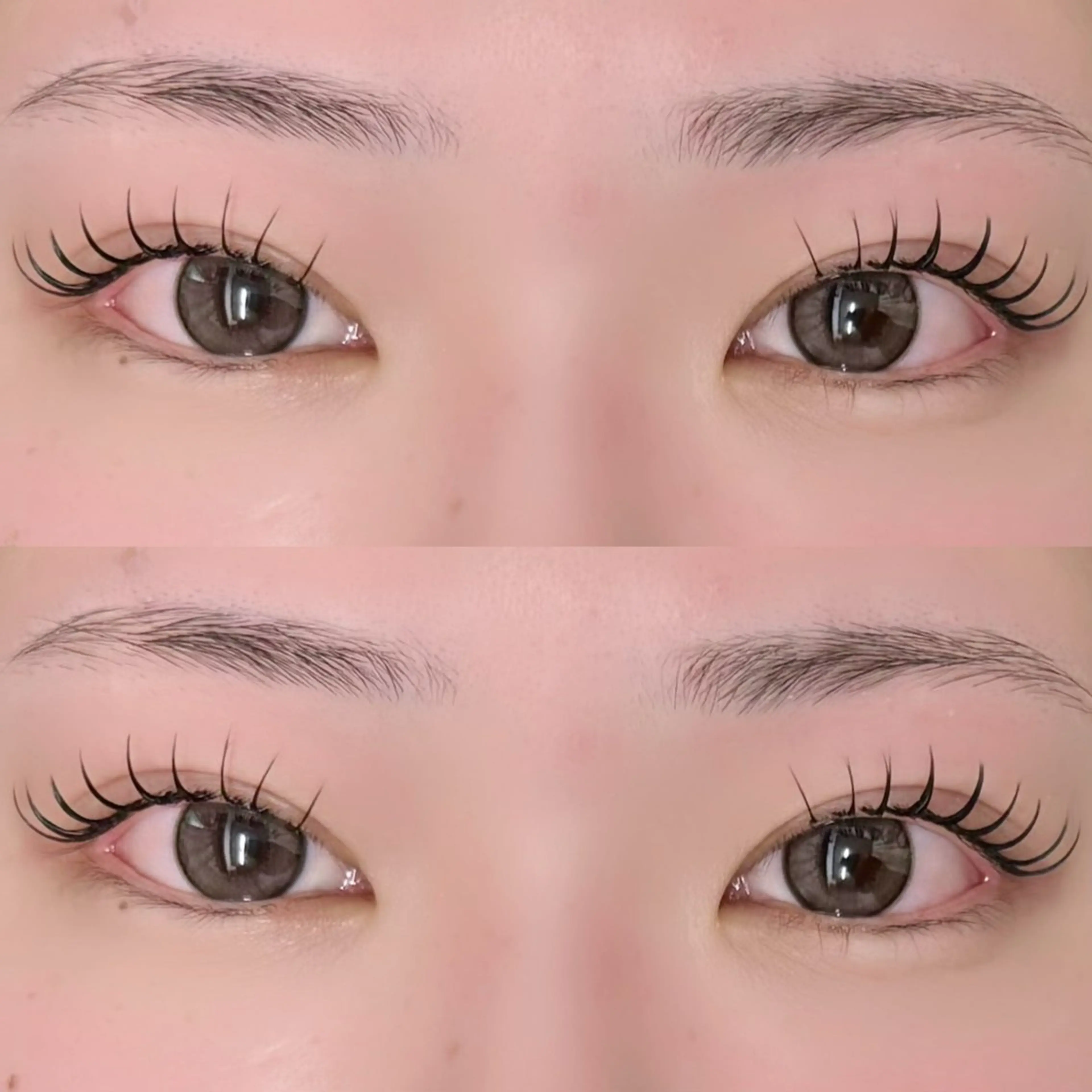 &Healthy🎀LEDエクステ×まつパの新技術120本の写真