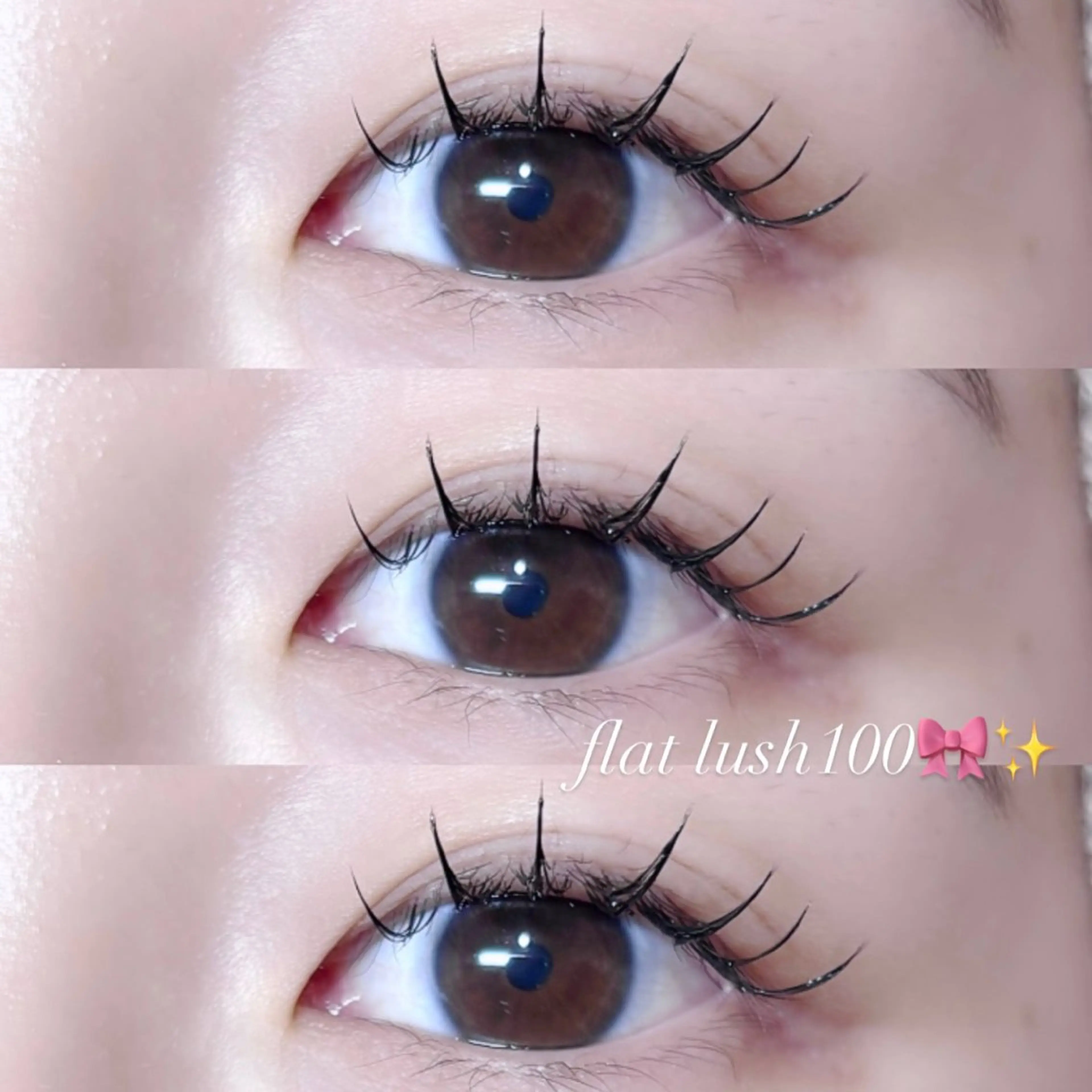 🌸新成人の方限定クーポン✨✨【フラットラッシュ100本orバインドロック80束】の写真