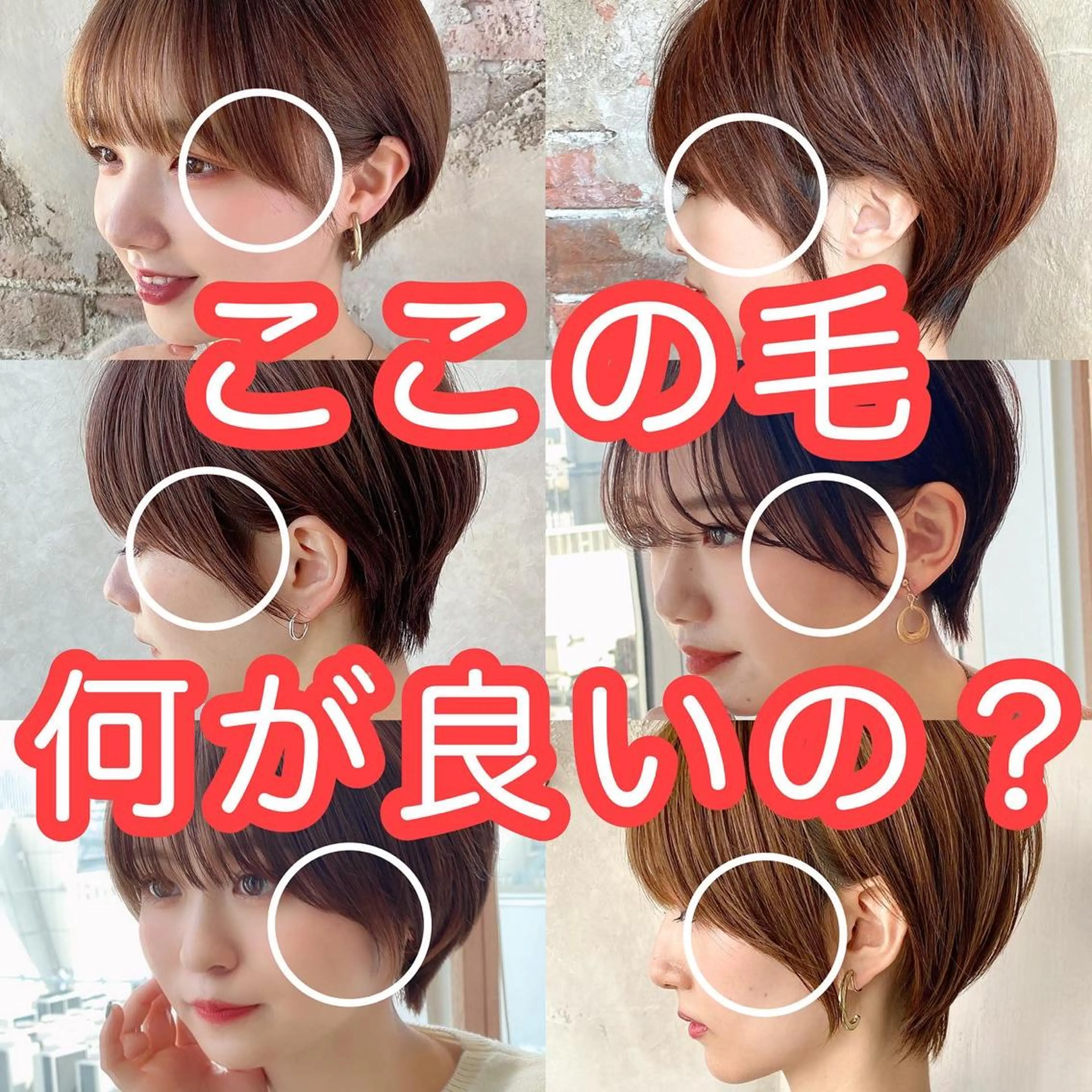 ショート 切りっぱなしボブ ショートボブ ハンサムショート 丸みショート アッシュ カット ヘアカラー トリートメント ショート、ボブの神✨ 峯朋也✂︎✨のヘアスタイル