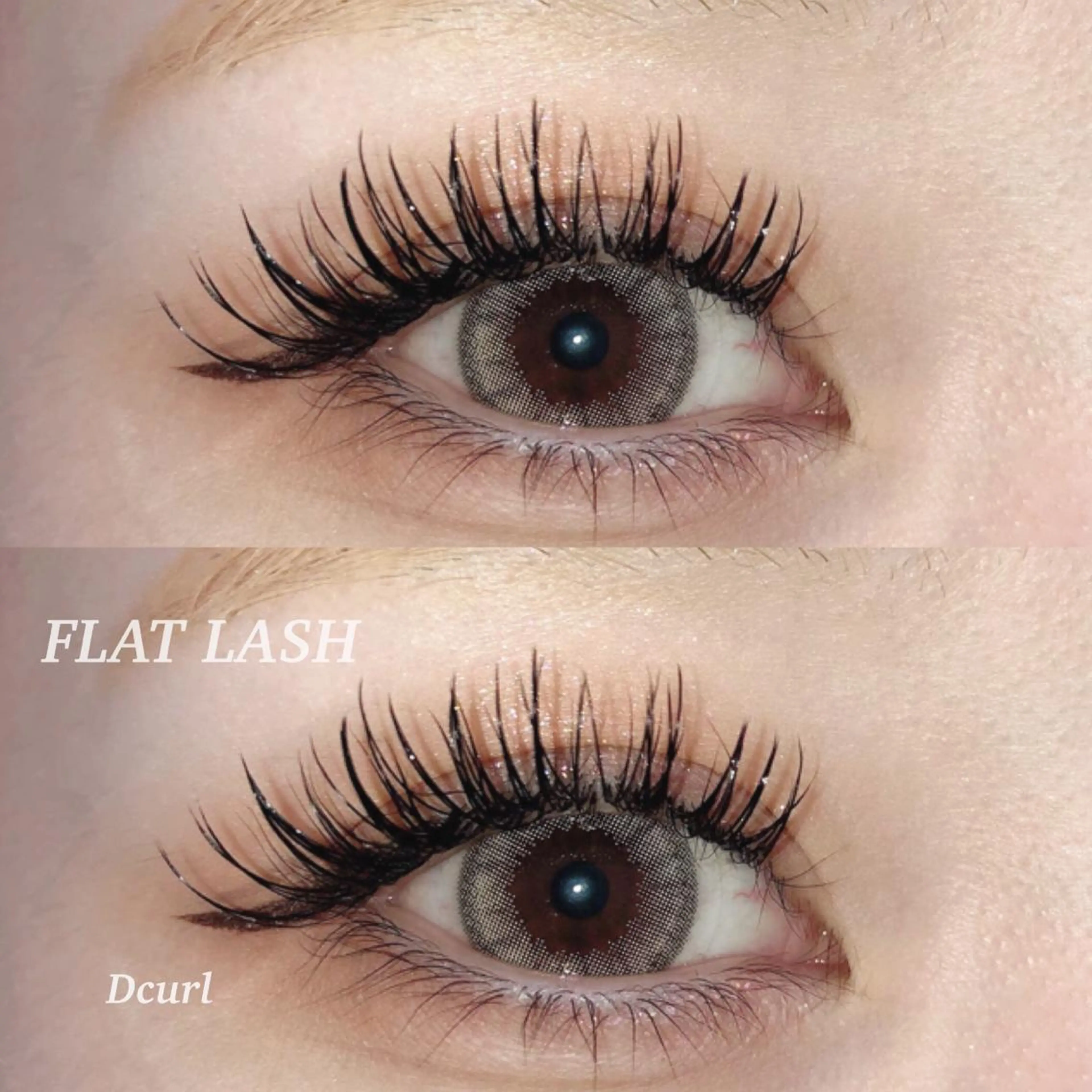 🧡フラットラッシュ60本 🧡【リペアの方向け】の写真