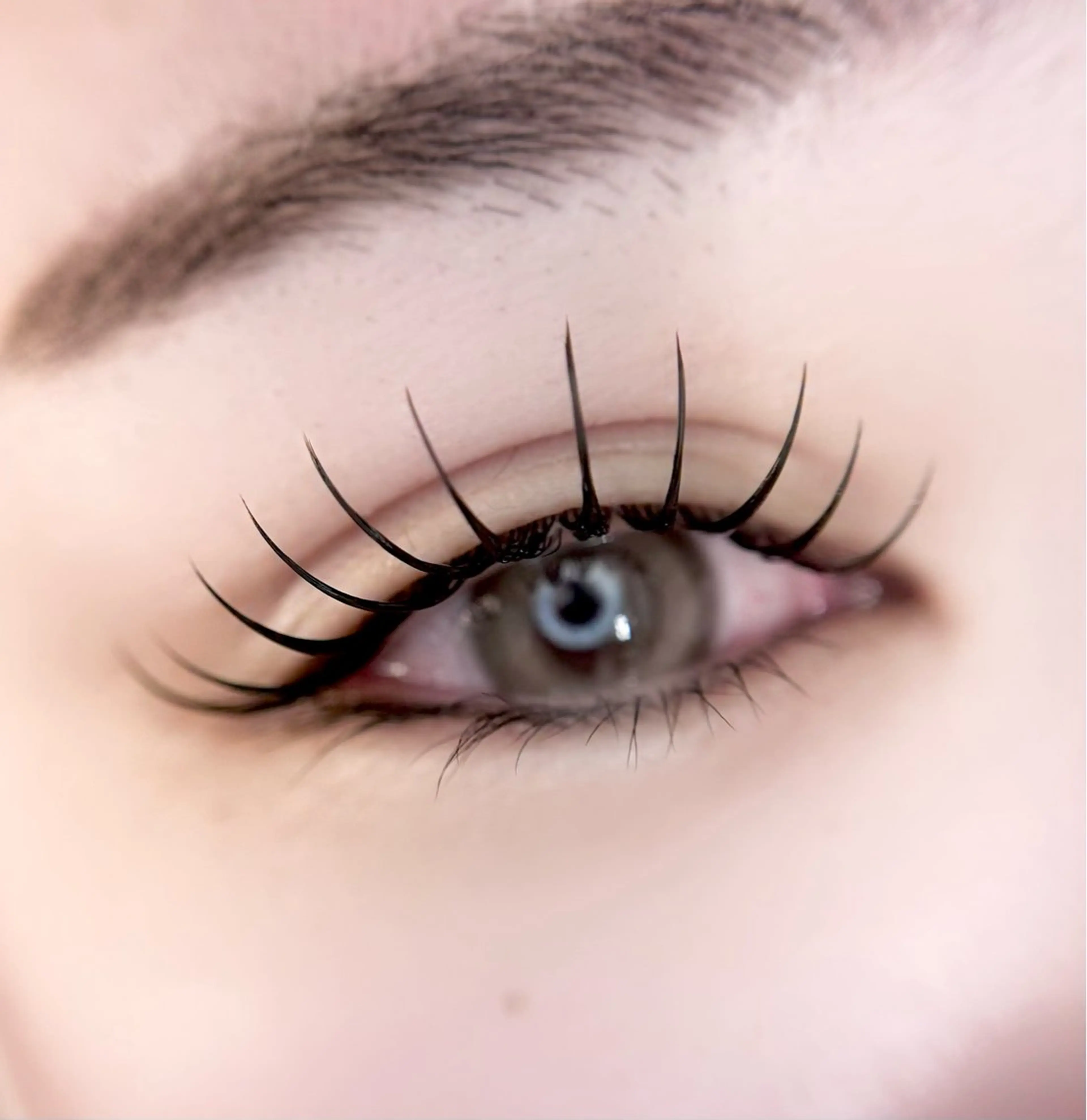 マツエク・マツパ マツエク eyelist. mizuki🐈‍⬛の眉毛・アイブロウイメージ