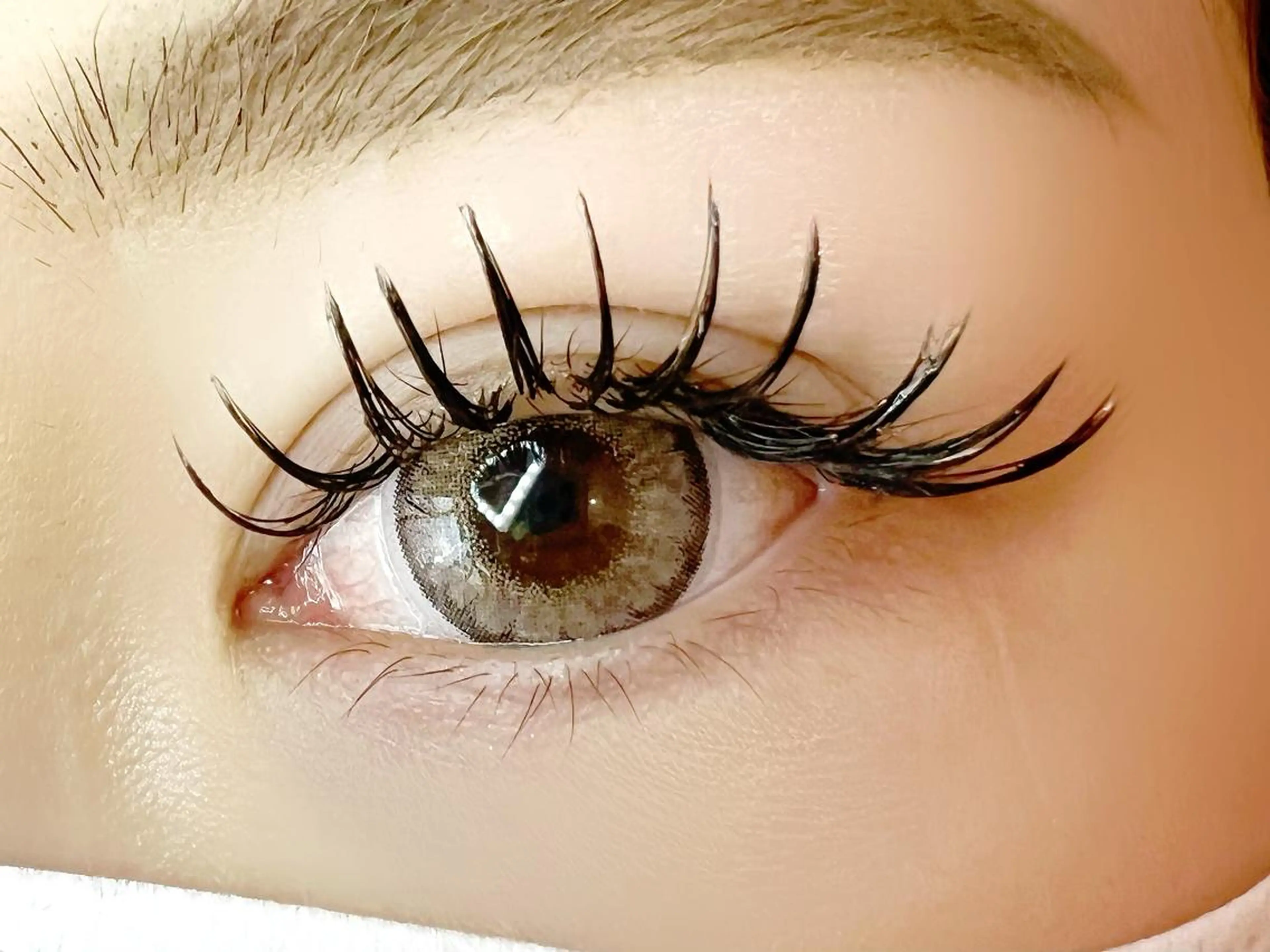 マツエク・マツパ バインドロック Celeste Venus所属・🧸Celeste Venusのマツエク・マツパデザイン